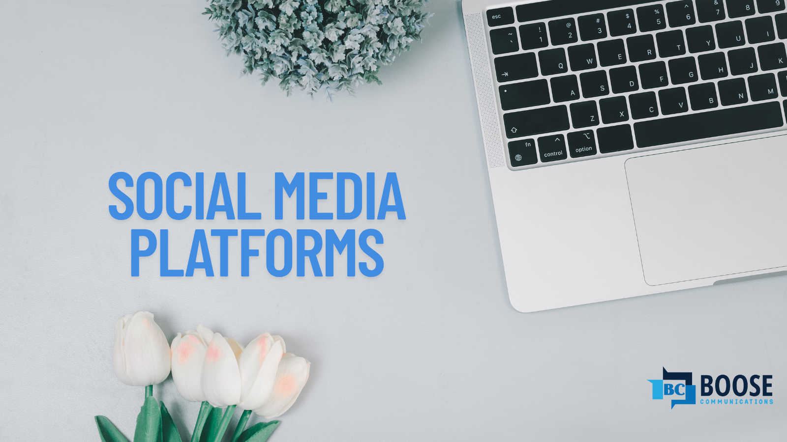 Social Media Platforms - What are your options?
