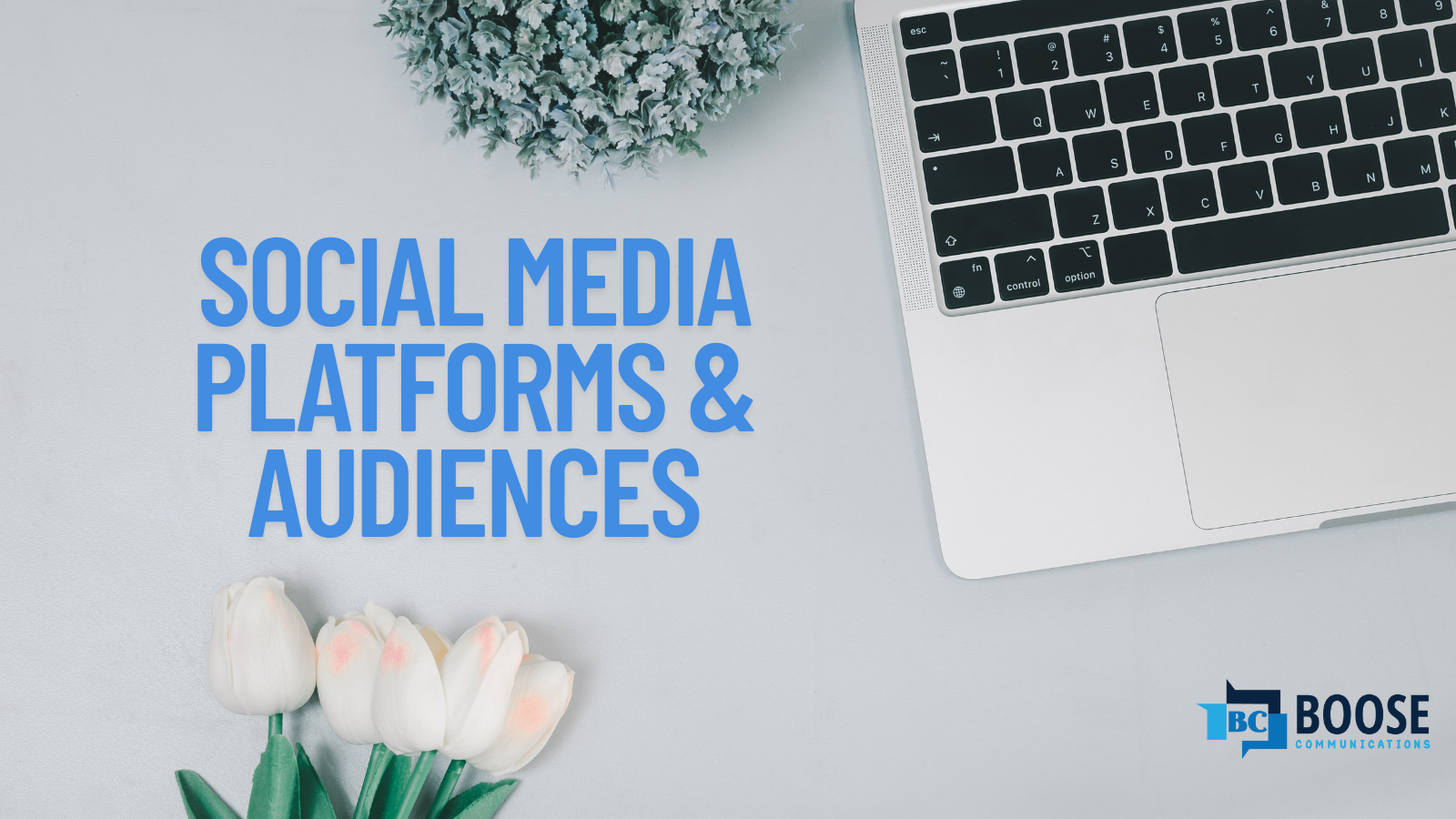 Social Media - Let’s talk about your audience