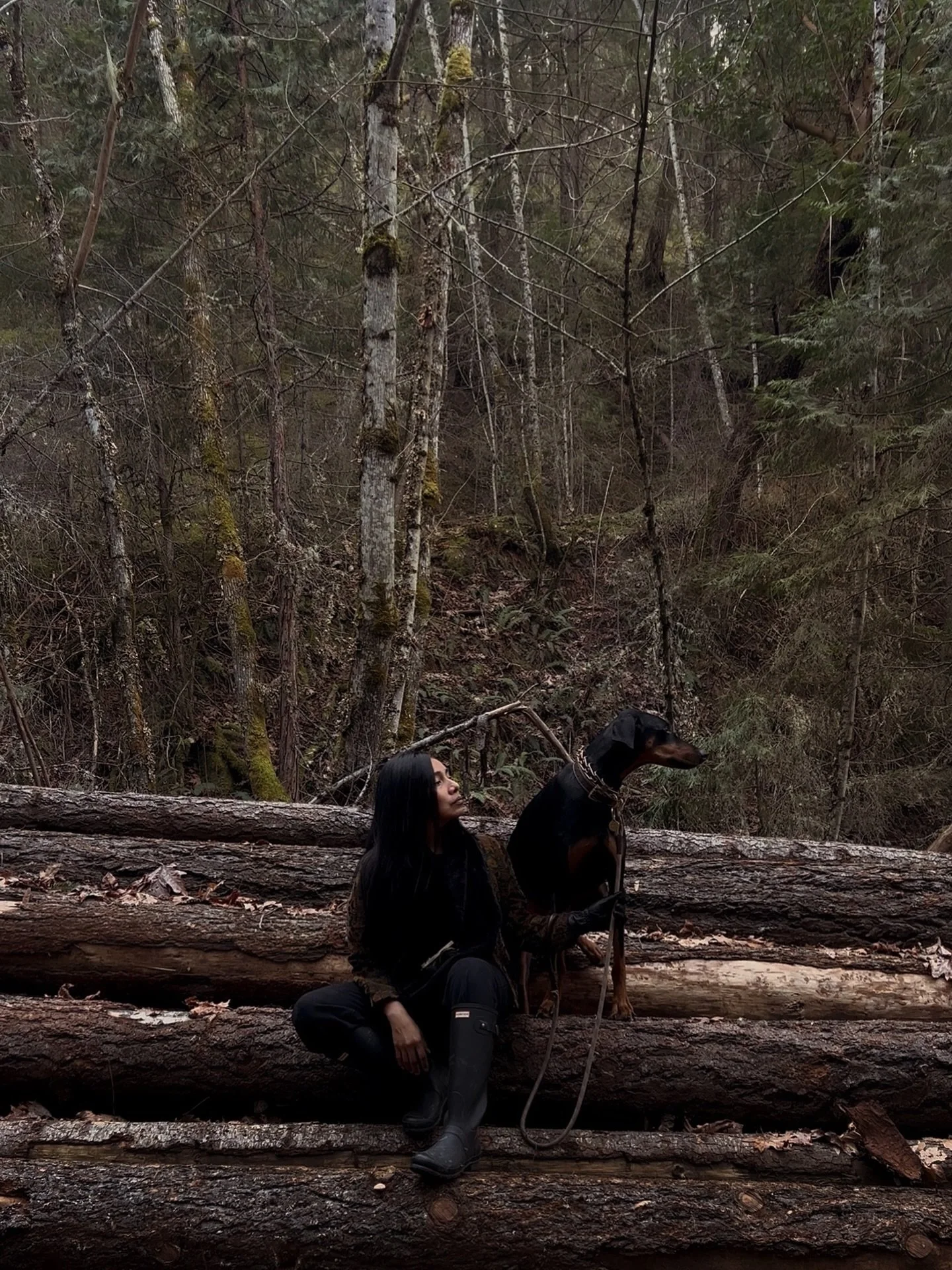 rich in creativity 🍃