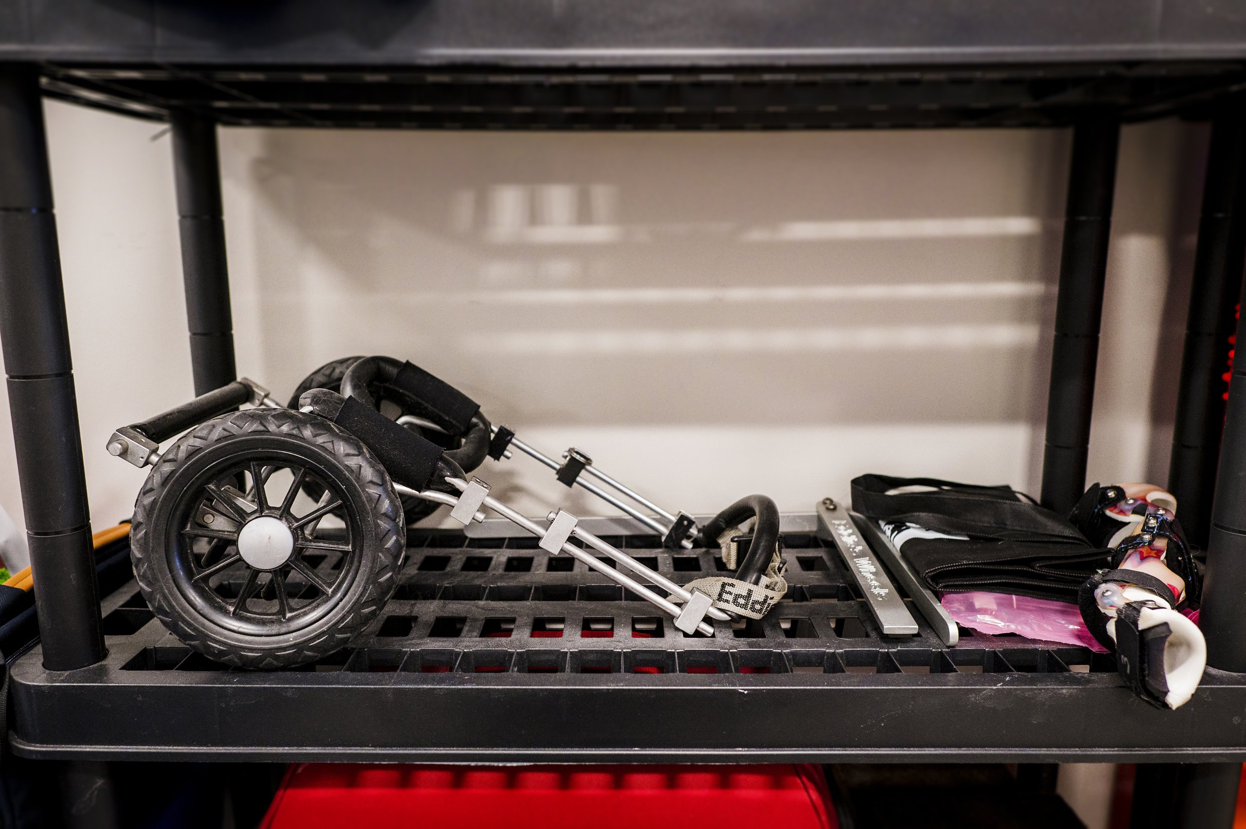 Dog wheelchair on black shelf