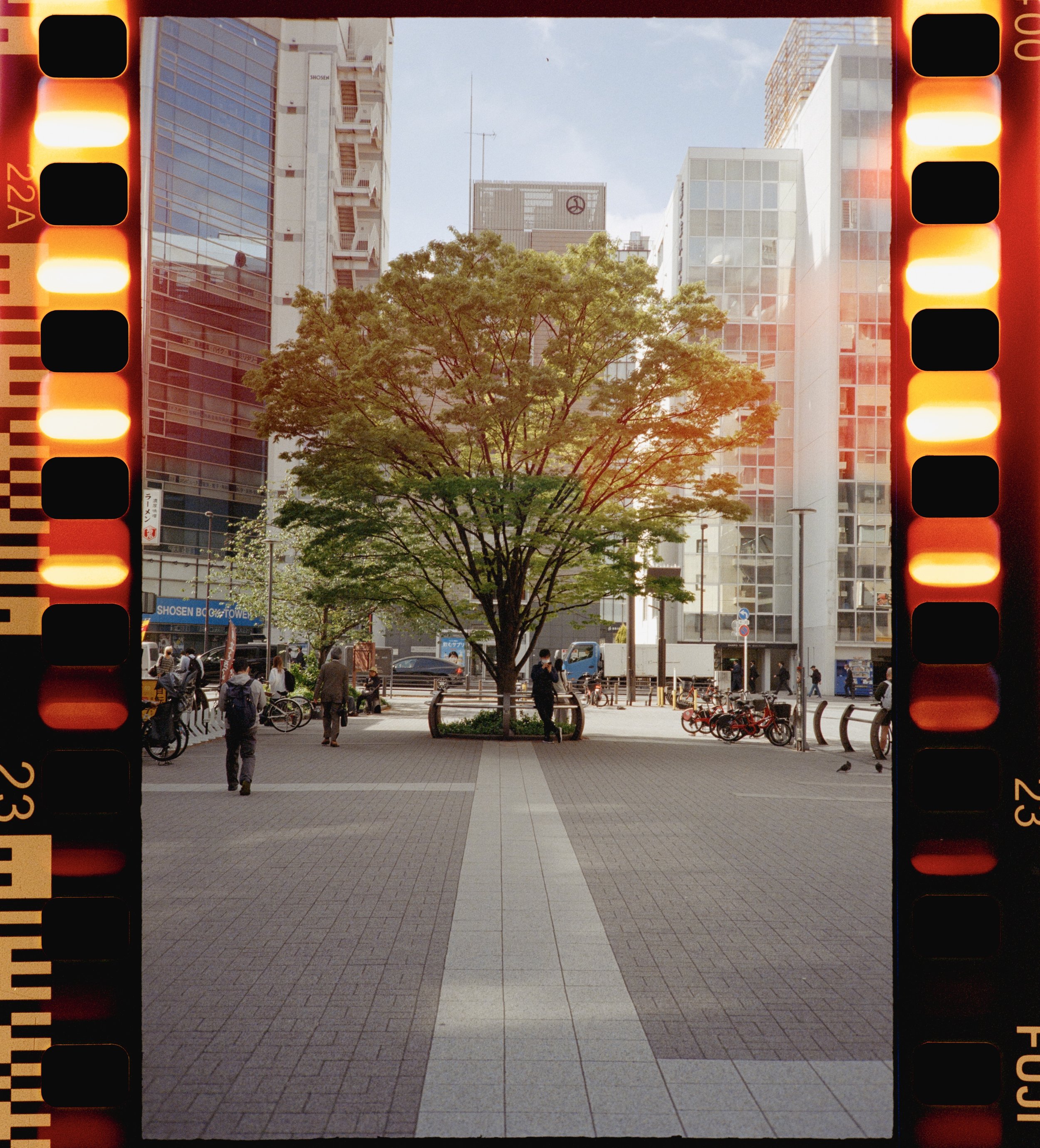 FUJI 400 (24 of 35).jpeg