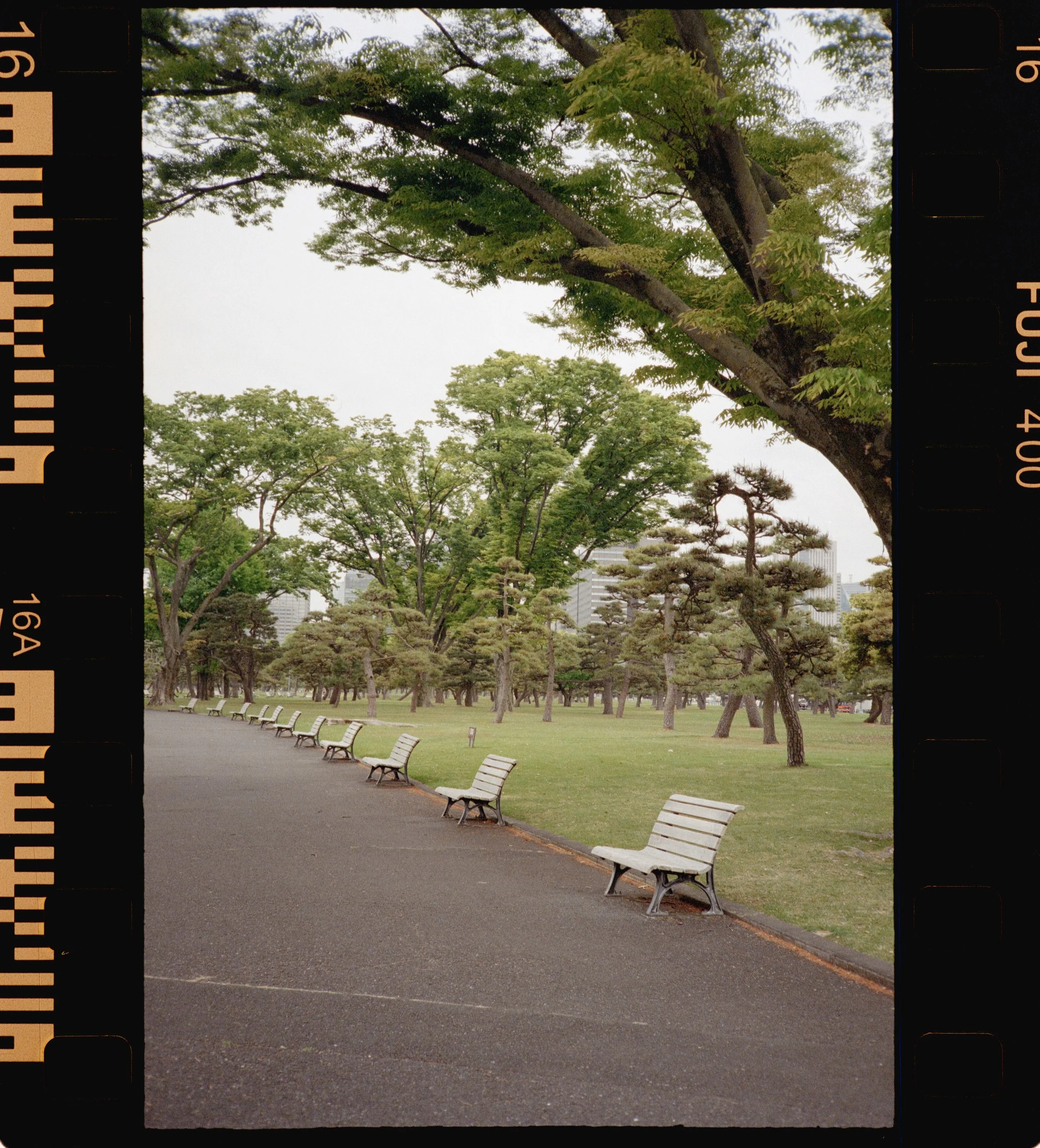 FUJI 400 (19 of 38).jpeg