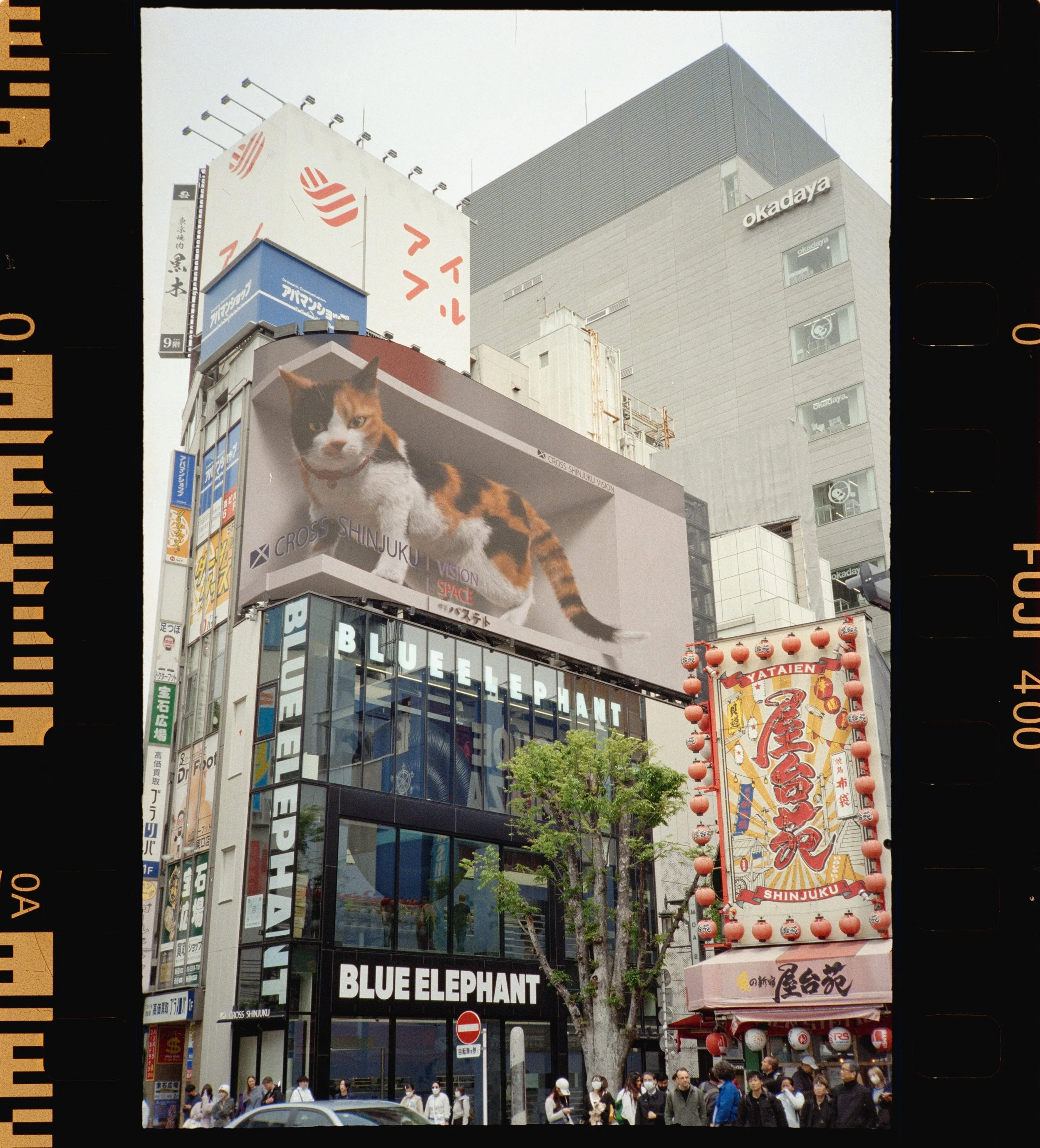 FUJI 400 (3 of 40).jpeg