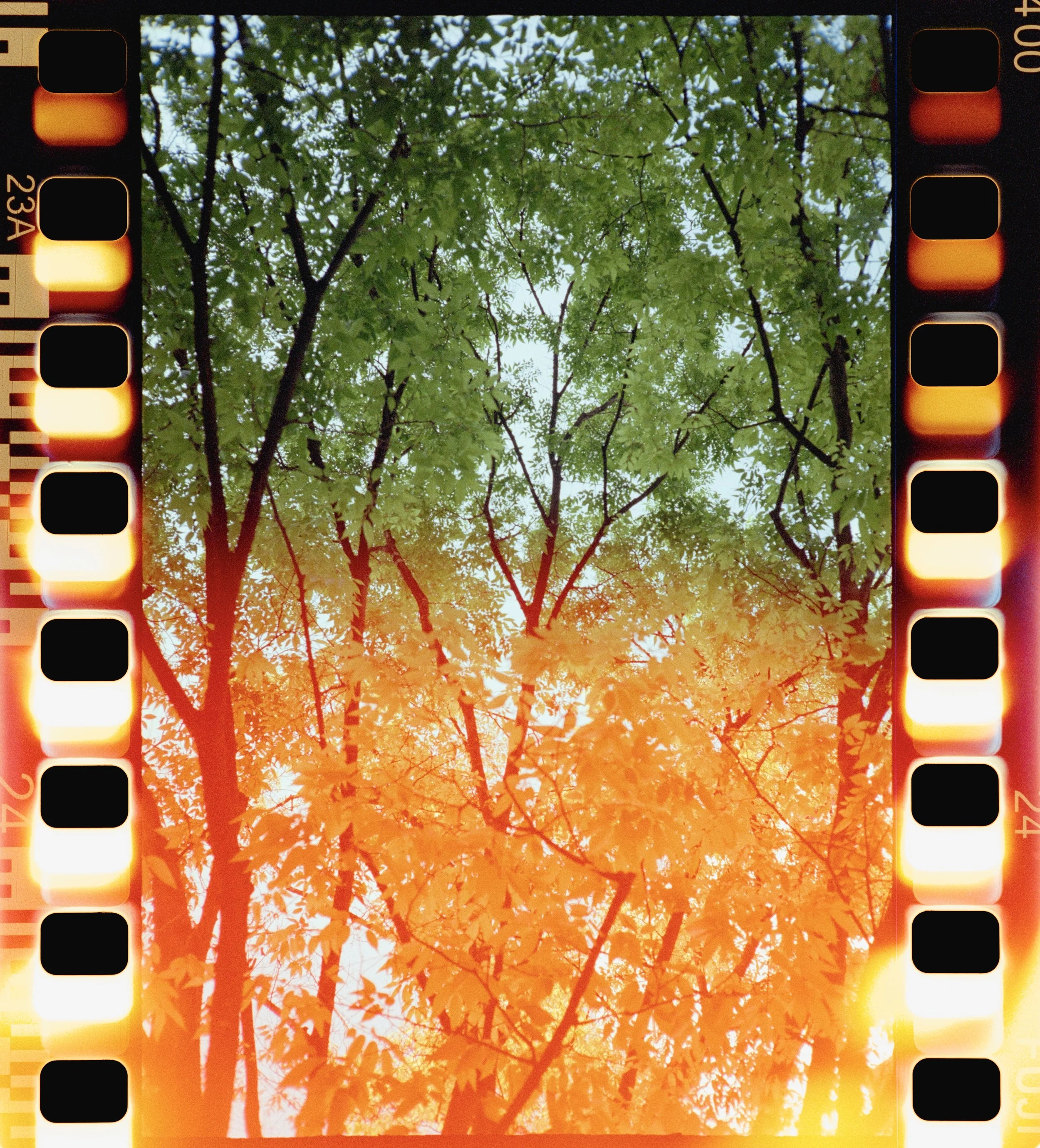 FUJI 400 (25 of 35).jpeg