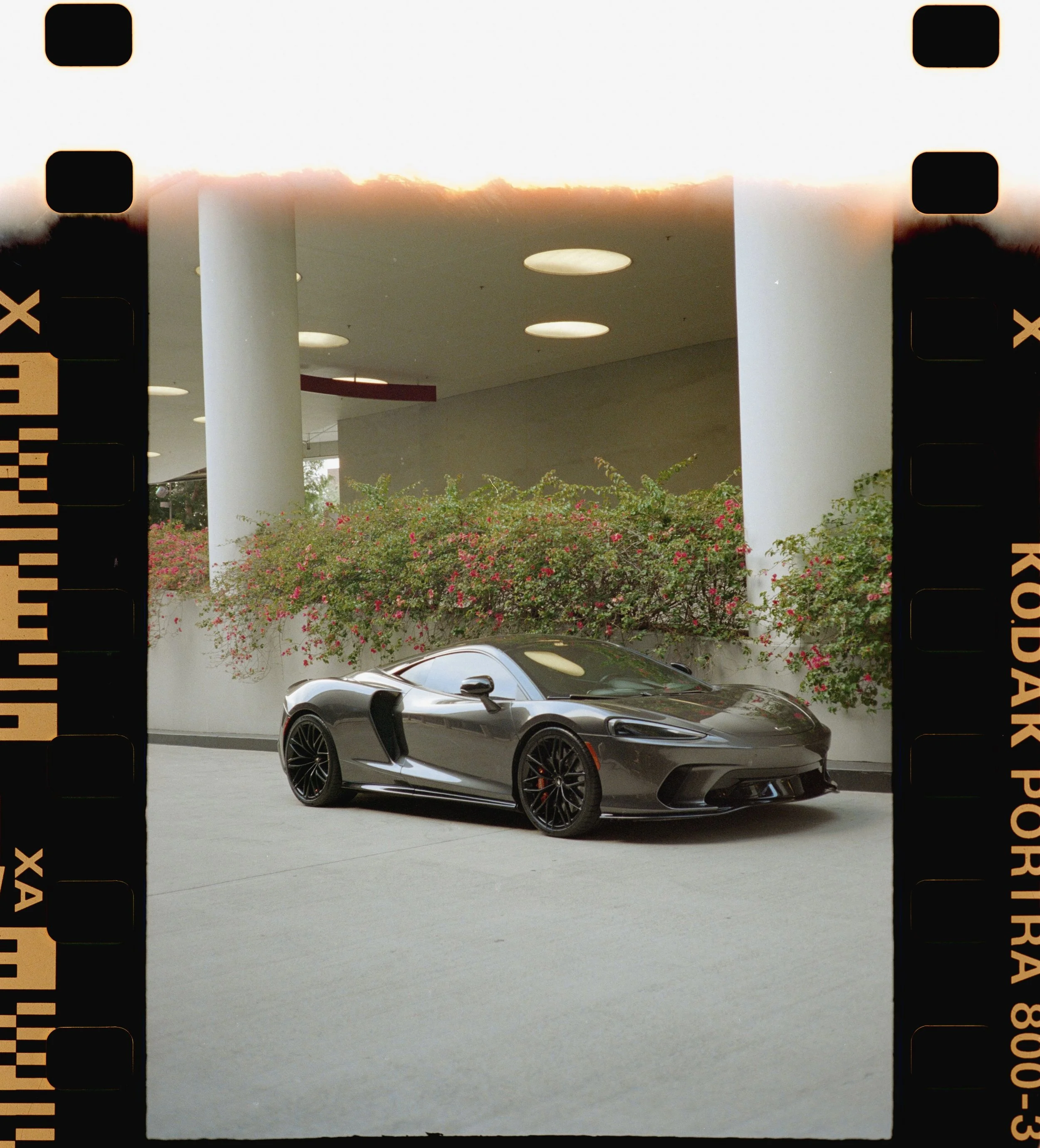 PORTRA 800 (1 of 39).jpg