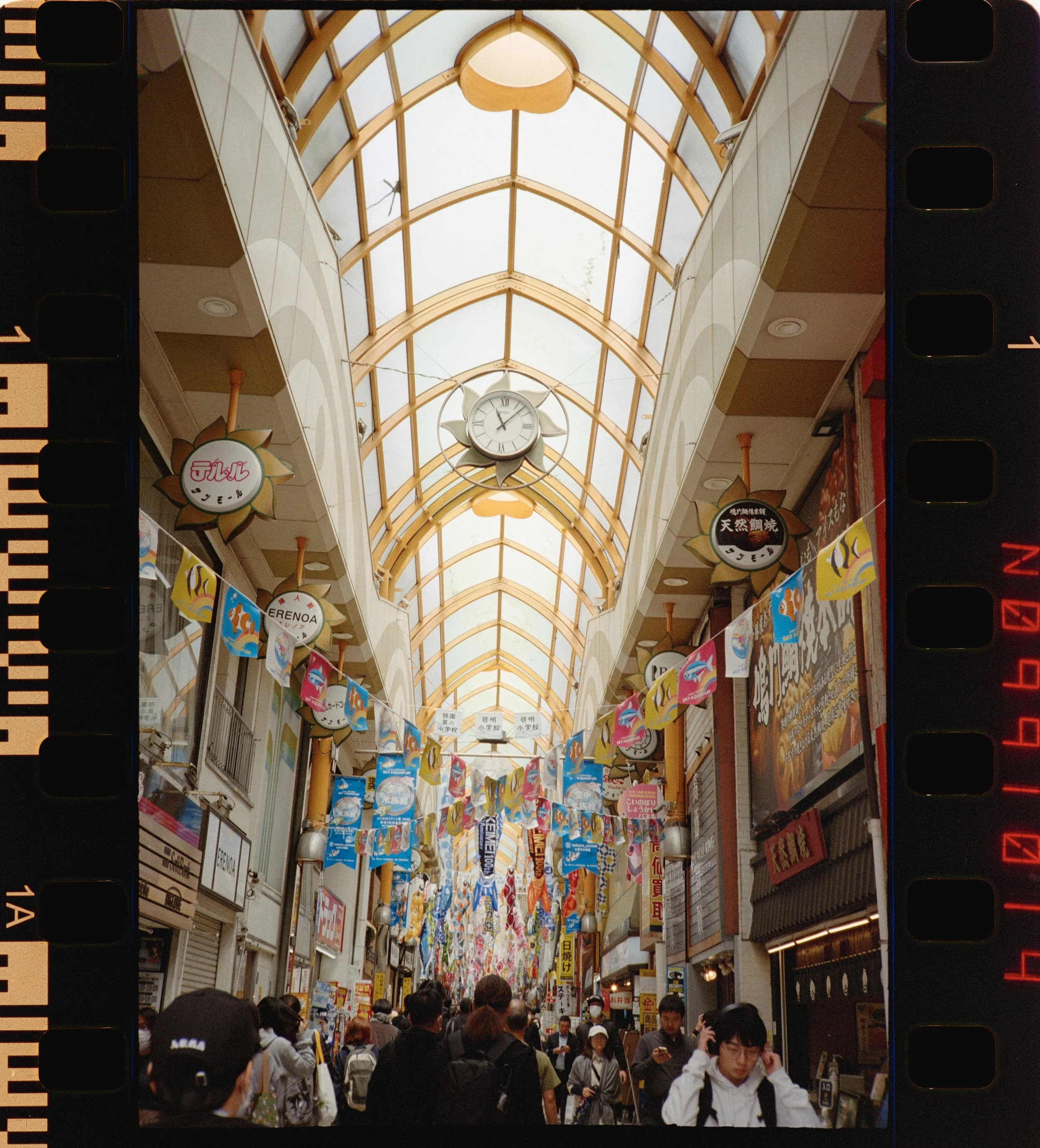 FUJI 400 (4 of 40).jpeg