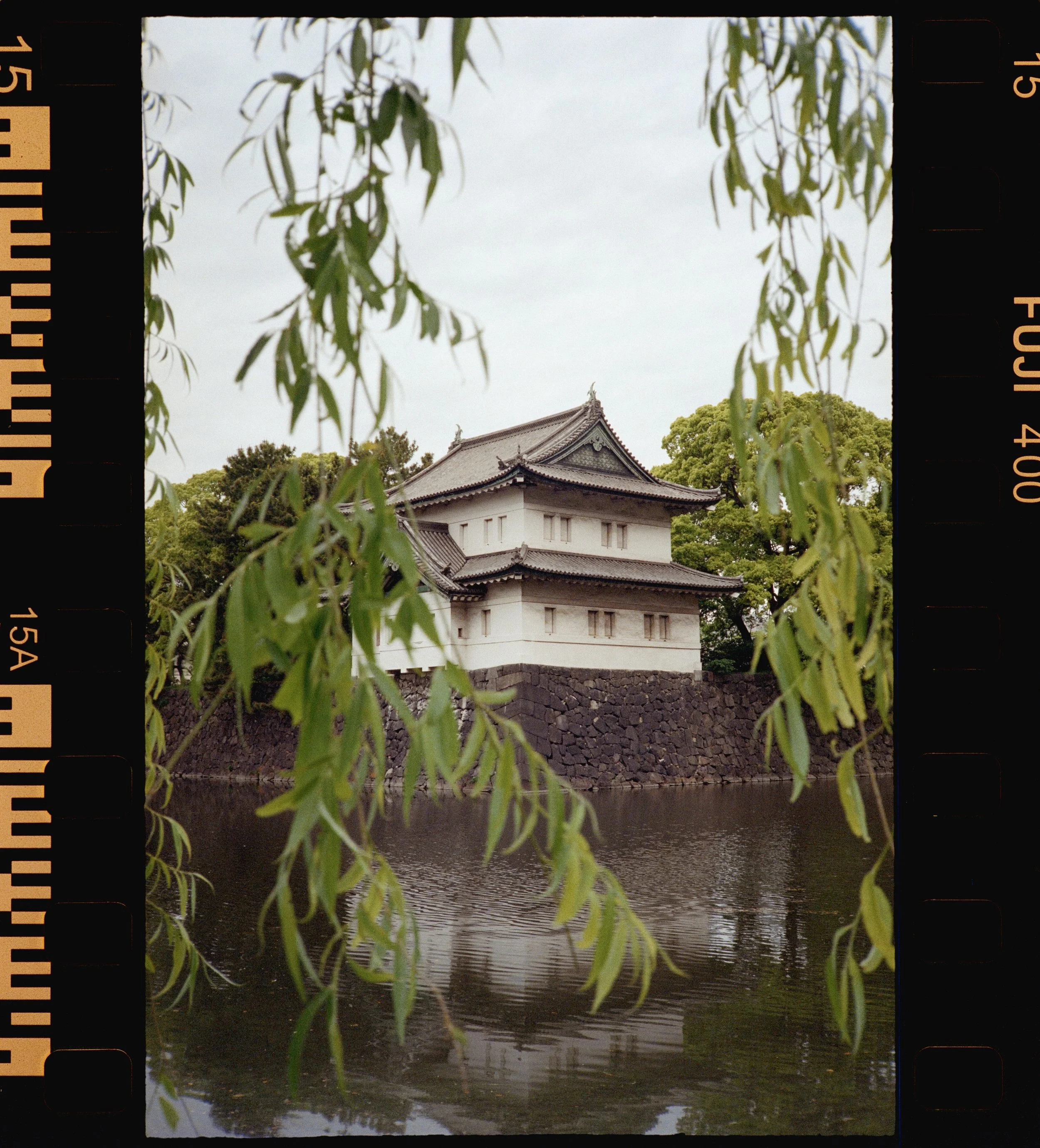 FUJI 400 (18 of 38).jpeg