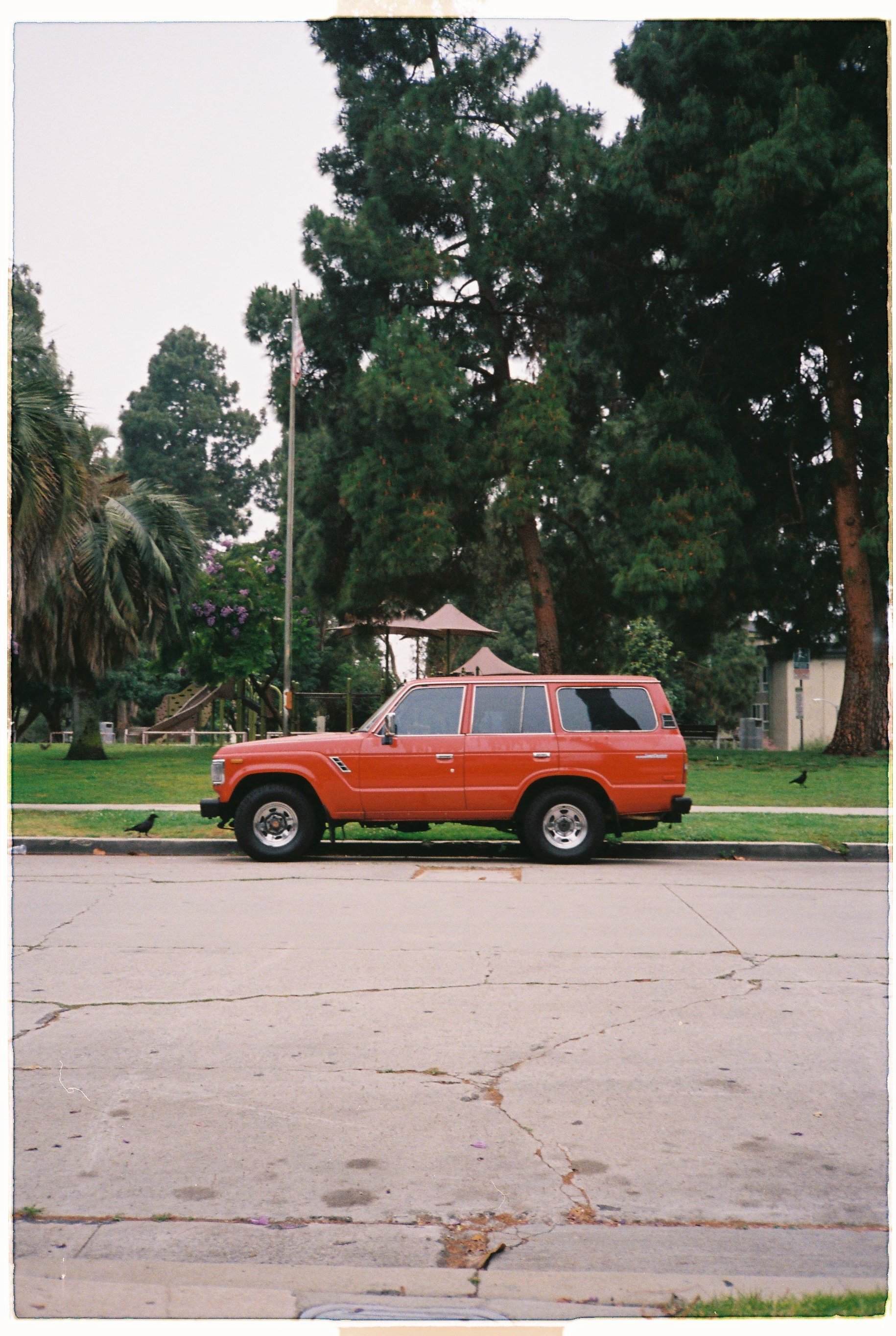 0caseyp_0caseyp-R3-051-24.jpg