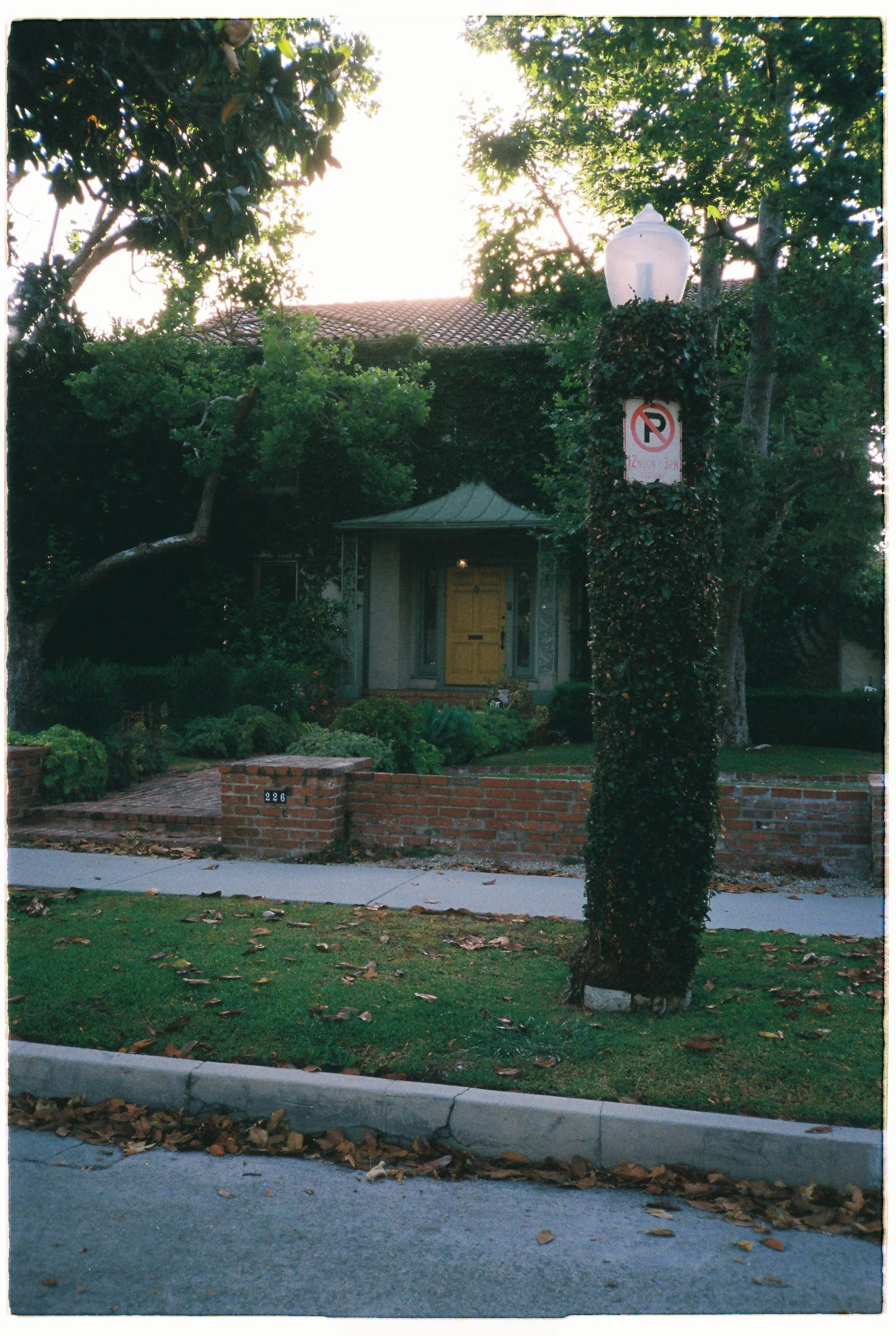 0caseyp_0caseyp-R4-012-4A.jpg