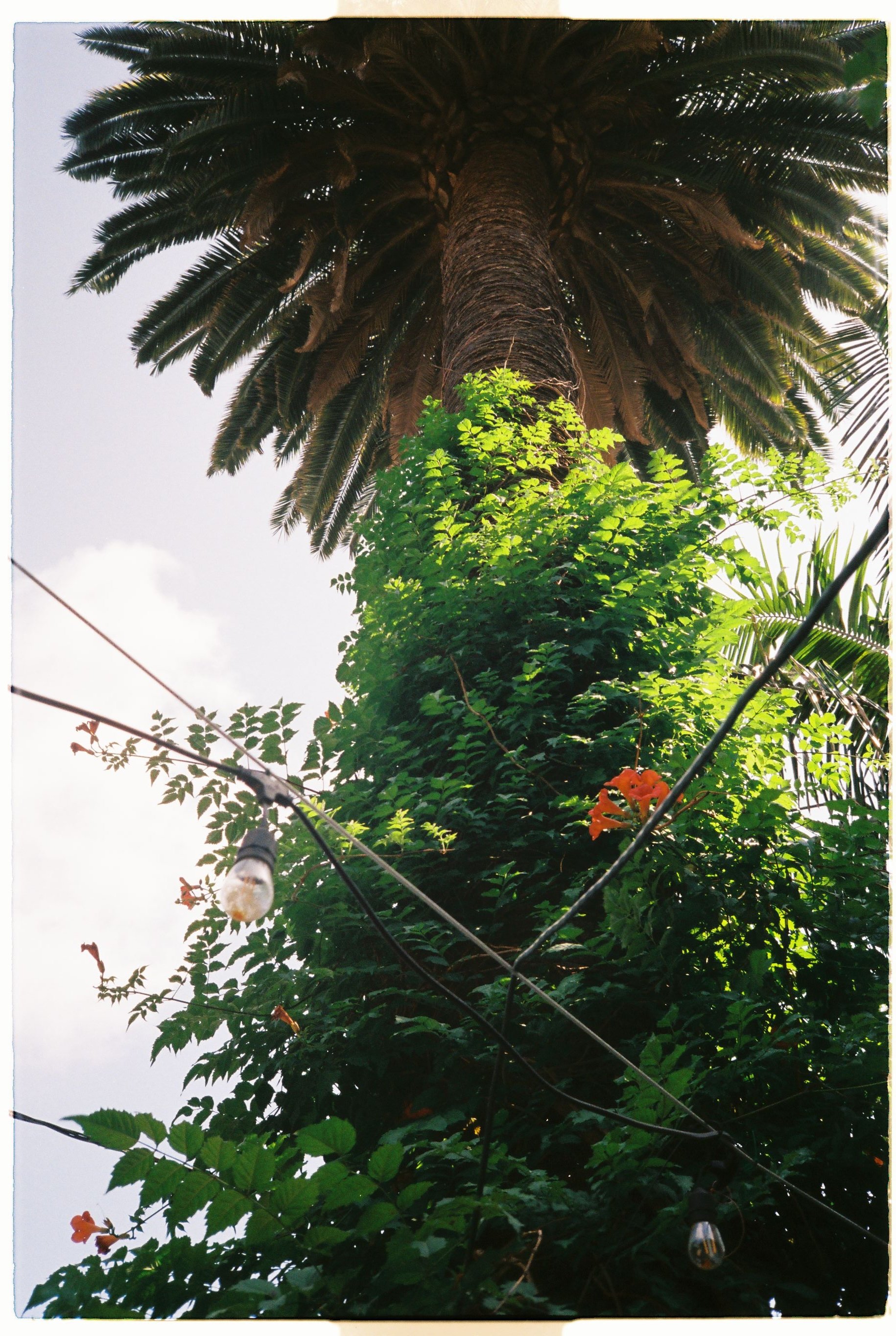 0caseyp_0caseyp-R1-038-17A.jpg