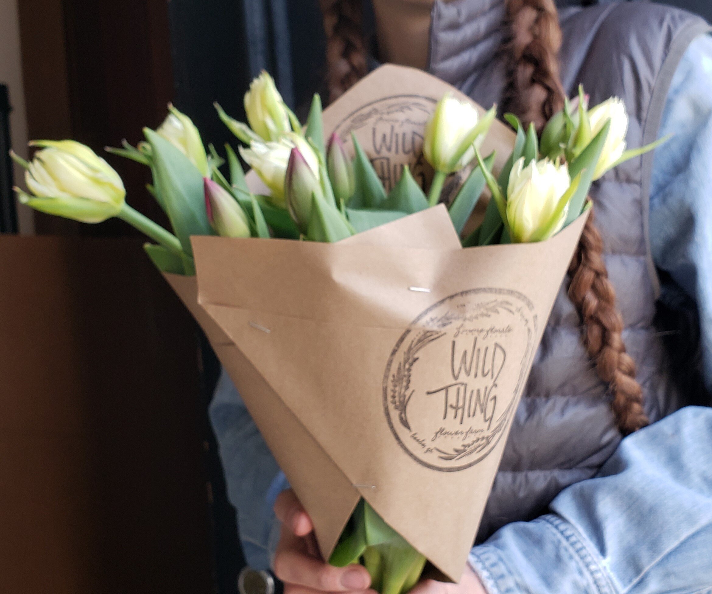 Cropped+Reg+Tulip+Bunch.jpg
