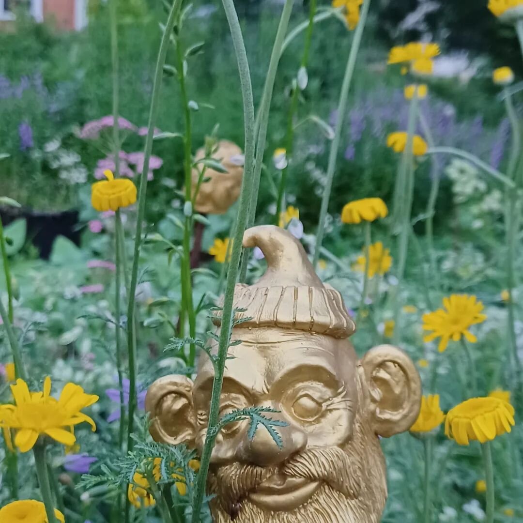 My dad @mark_lang_painter made me these little &quot;Wild Things&quot; to pop throughout the gardens as rebar top protectors. 

He sculpted 5 or 6 different heads and then cast multiples of them from a mould he made. 

This little gnome fellow is han
