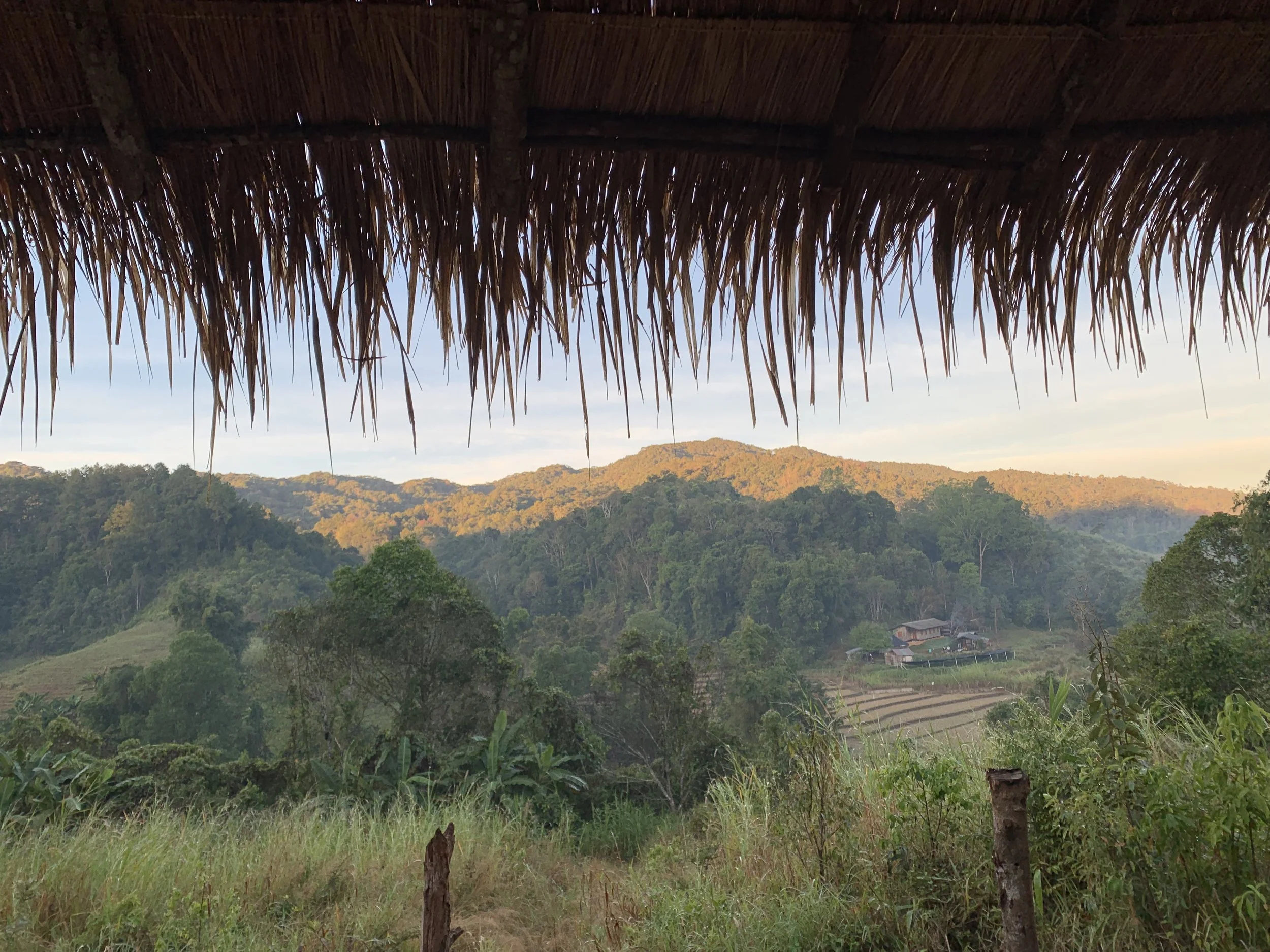 Earthhome Thailand                      Morning Reflection
