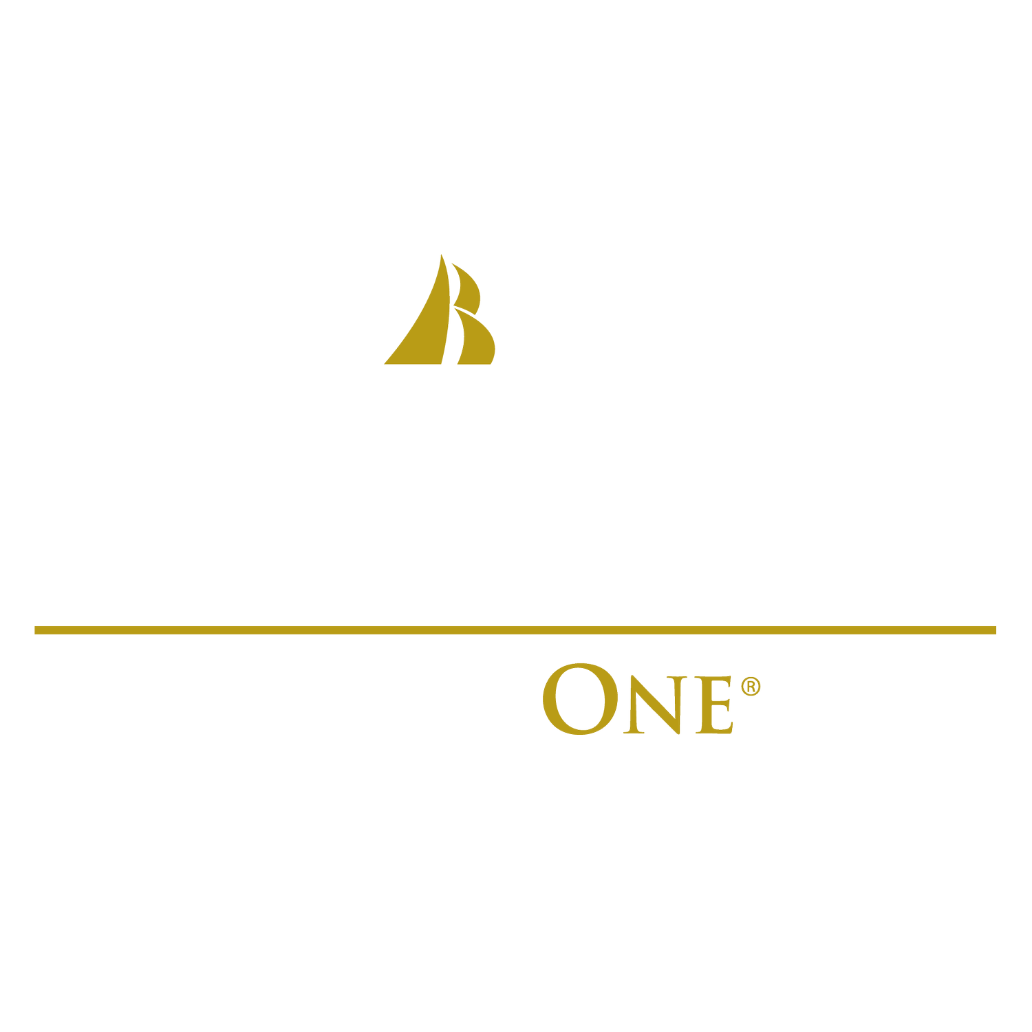 Applied Mortgage Team