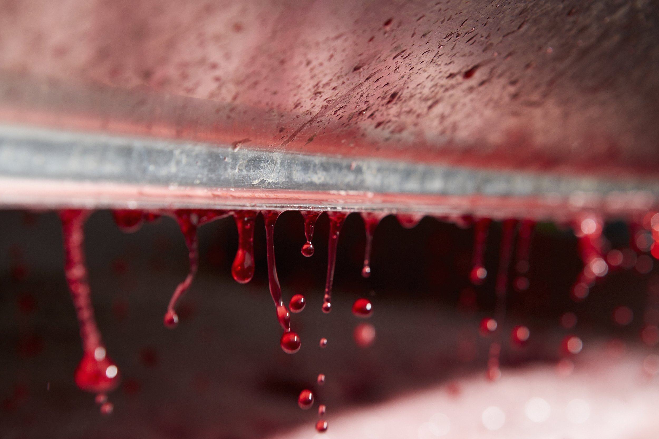 the-interior-of-a-grape-press-with-droplets-of-fre-2022-03-04-02-28-03-utc.jpg