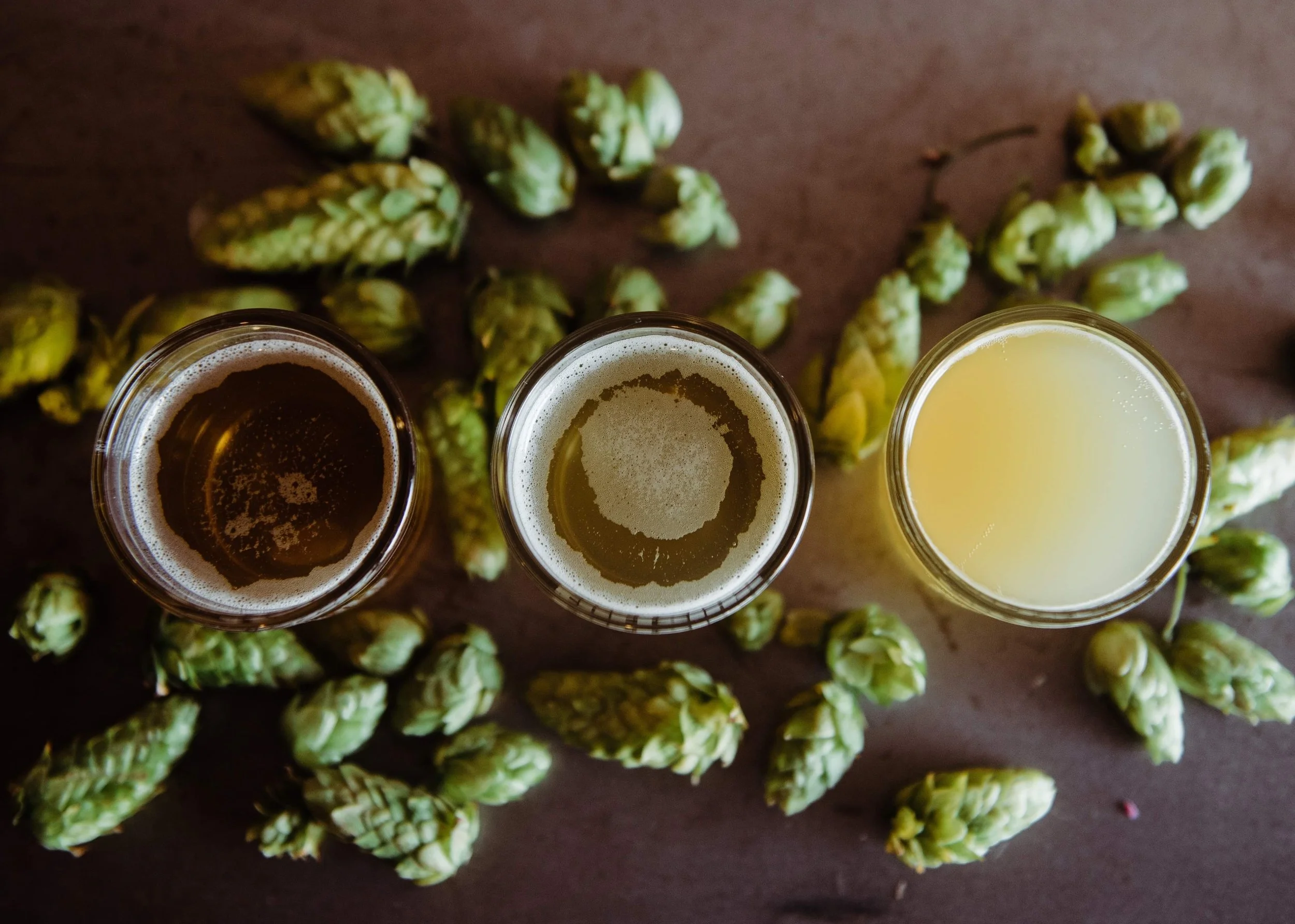 WSET Level 2 in Beer Online Exam