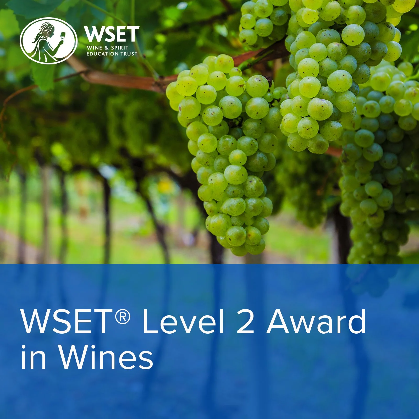 WSET Wine Courses — The Wine And Spirit Archive, Portland Oregon Wine