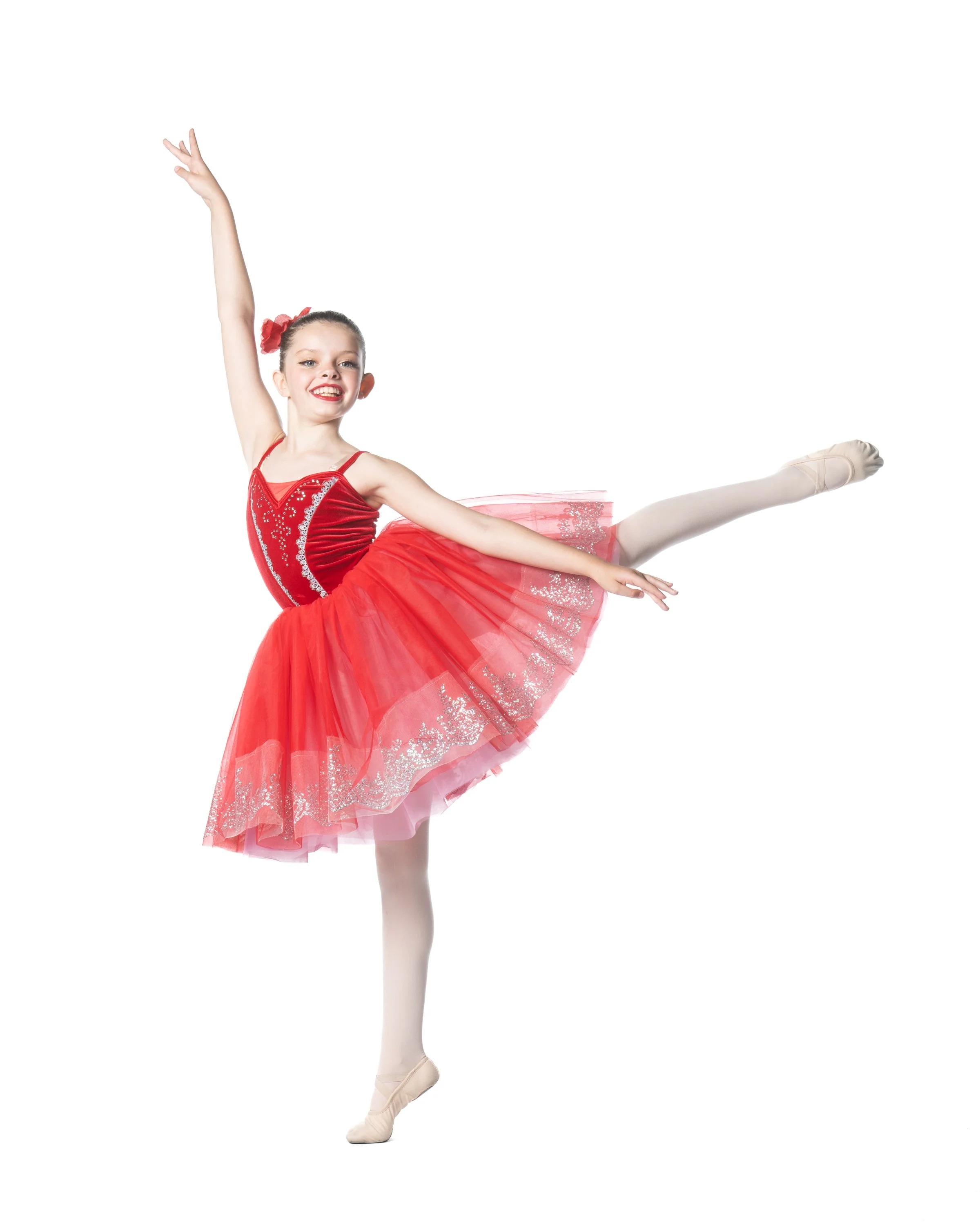 Fenton Ballet Theatre Picture Day Sitting Fee