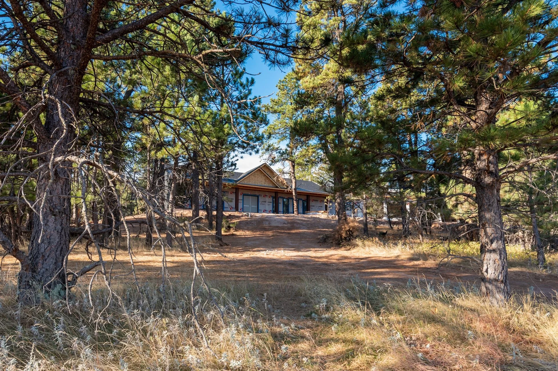 2020-10-15 Kaski Construction Dark Timber Compressed 1.jpg