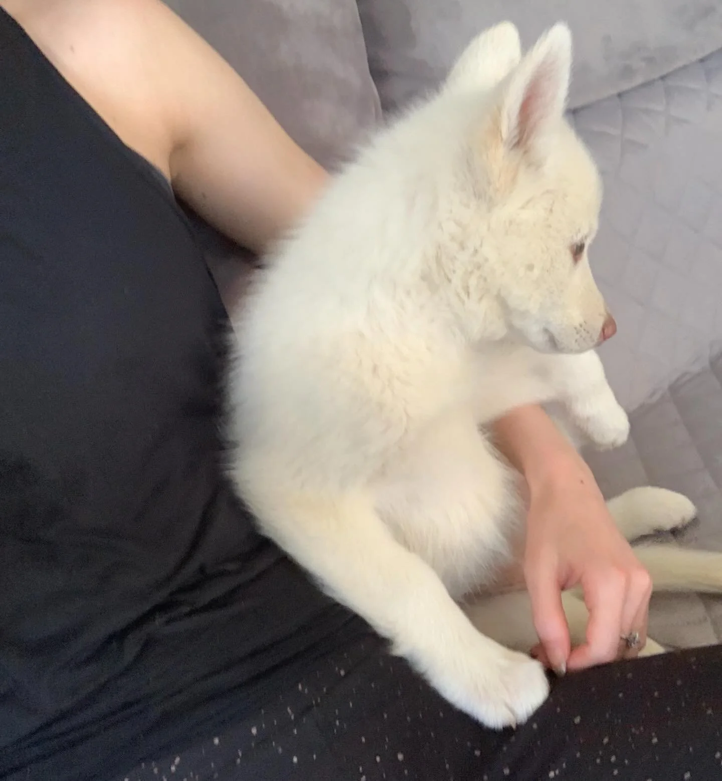 7 years old 😭 swipe for birthday sardine grossness 😂