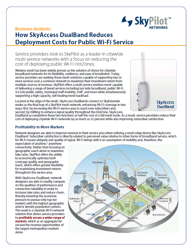 Business Analysis - Sky.PNG