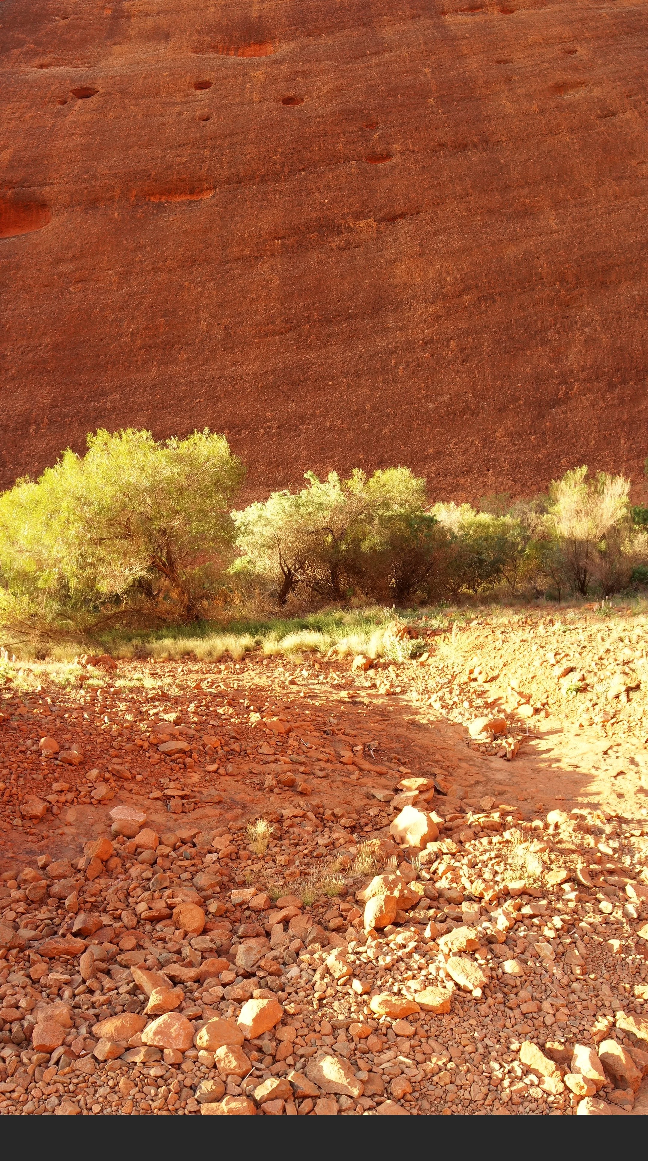 scene, kata tjuta, northern territory, 2021
