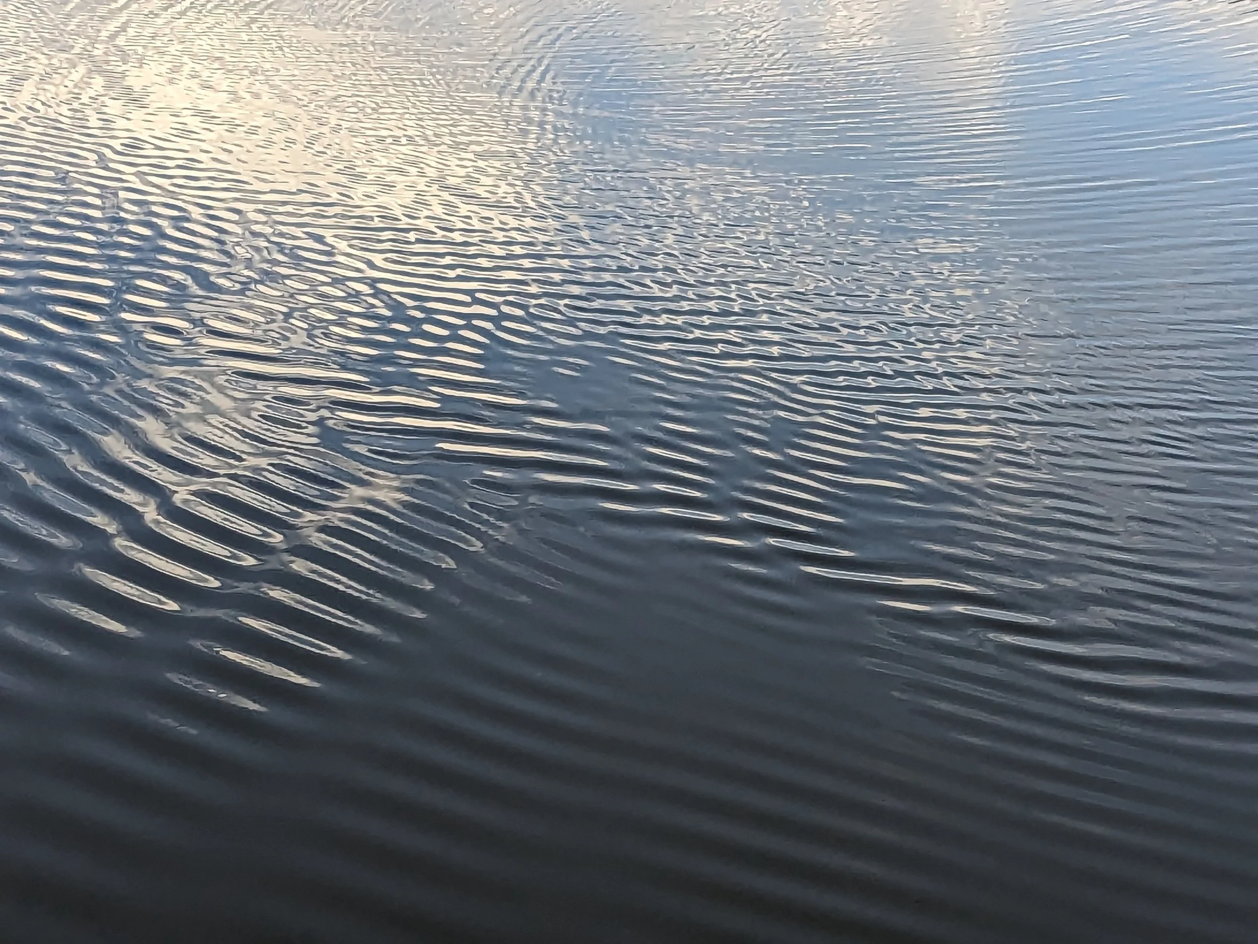 scene, lake burley griffin, canberra, 2024