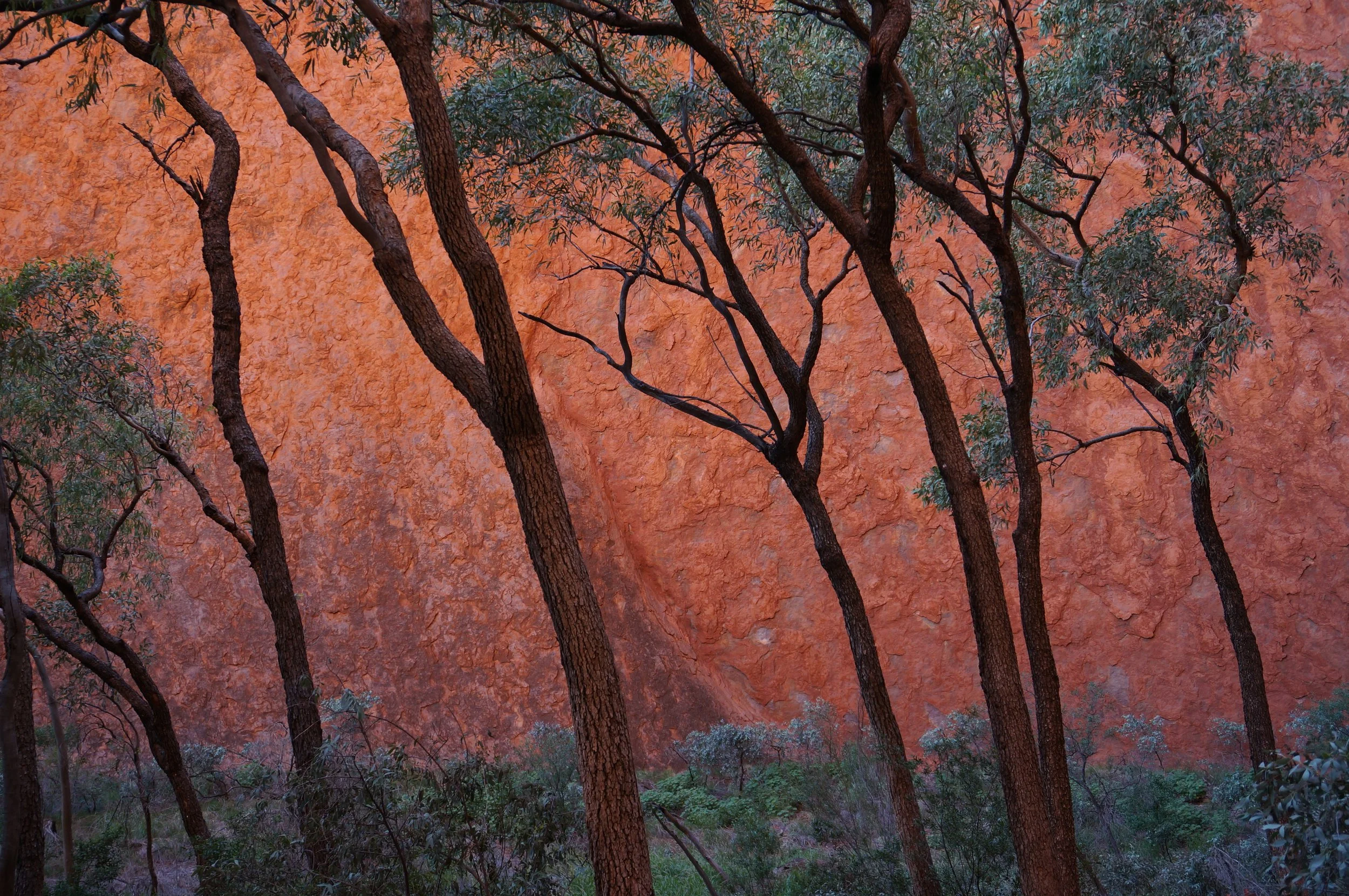 uluru, northern territory, 2021