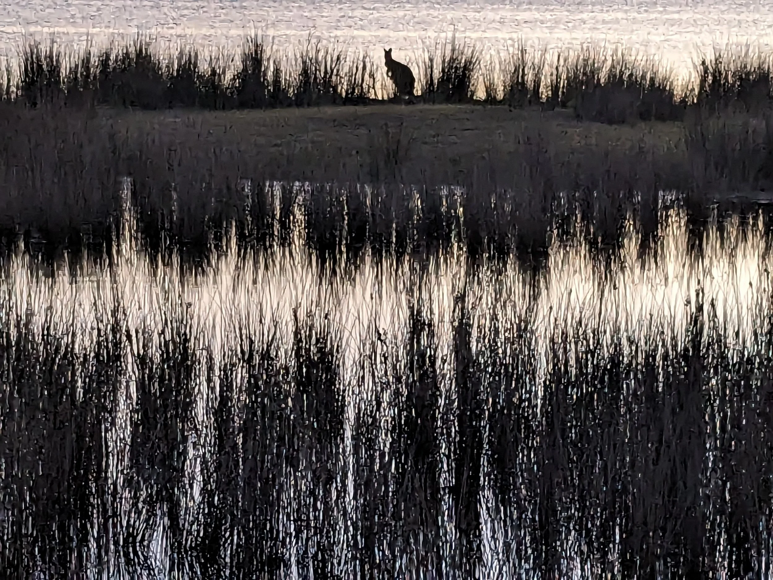 scene, tuross, new south wales, 2024