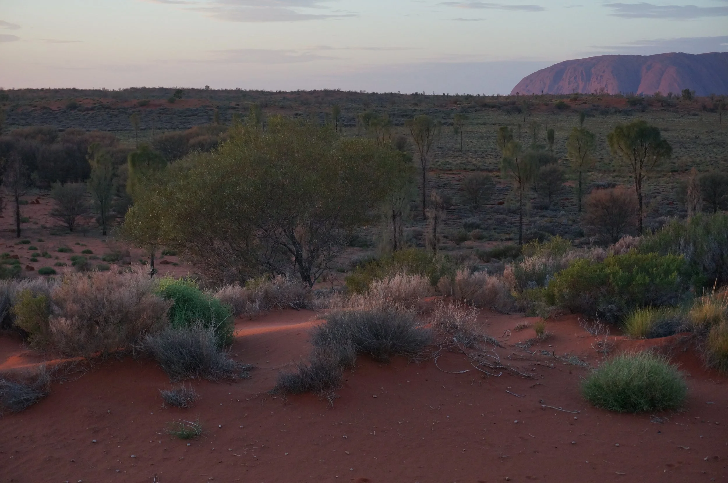 morning scene, northern territory, 2021