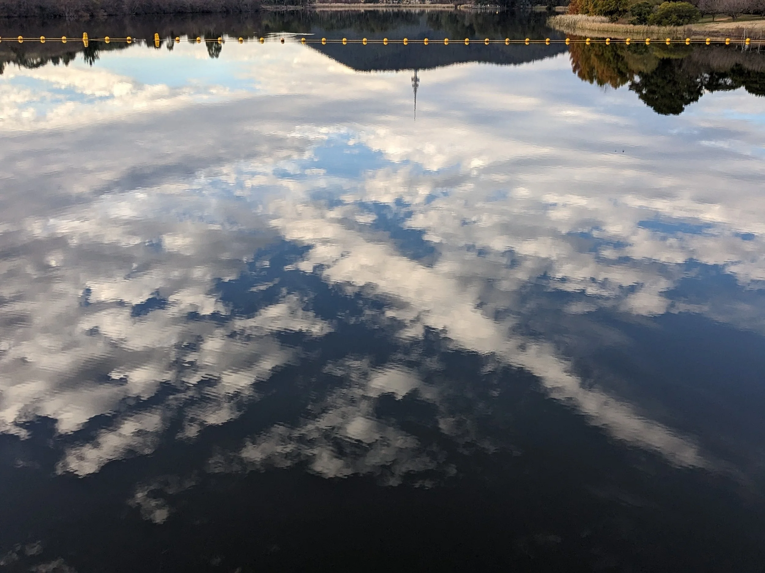 scene, lake burley griffin, canberra, 2024