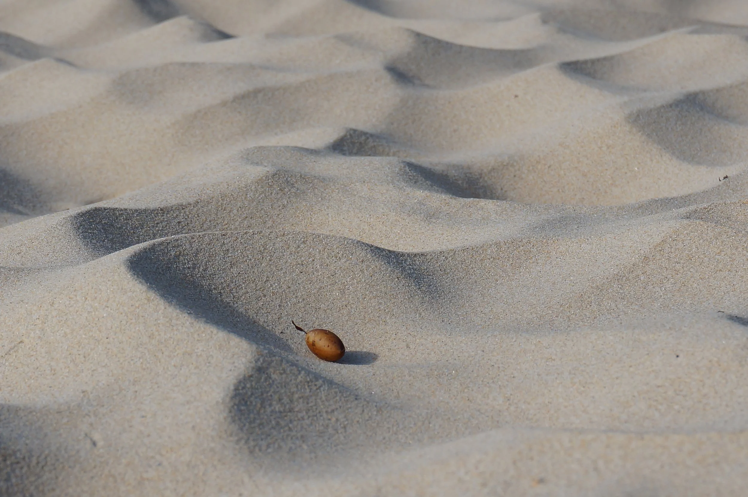 sand scene, mystery bay, new south wales, 2018