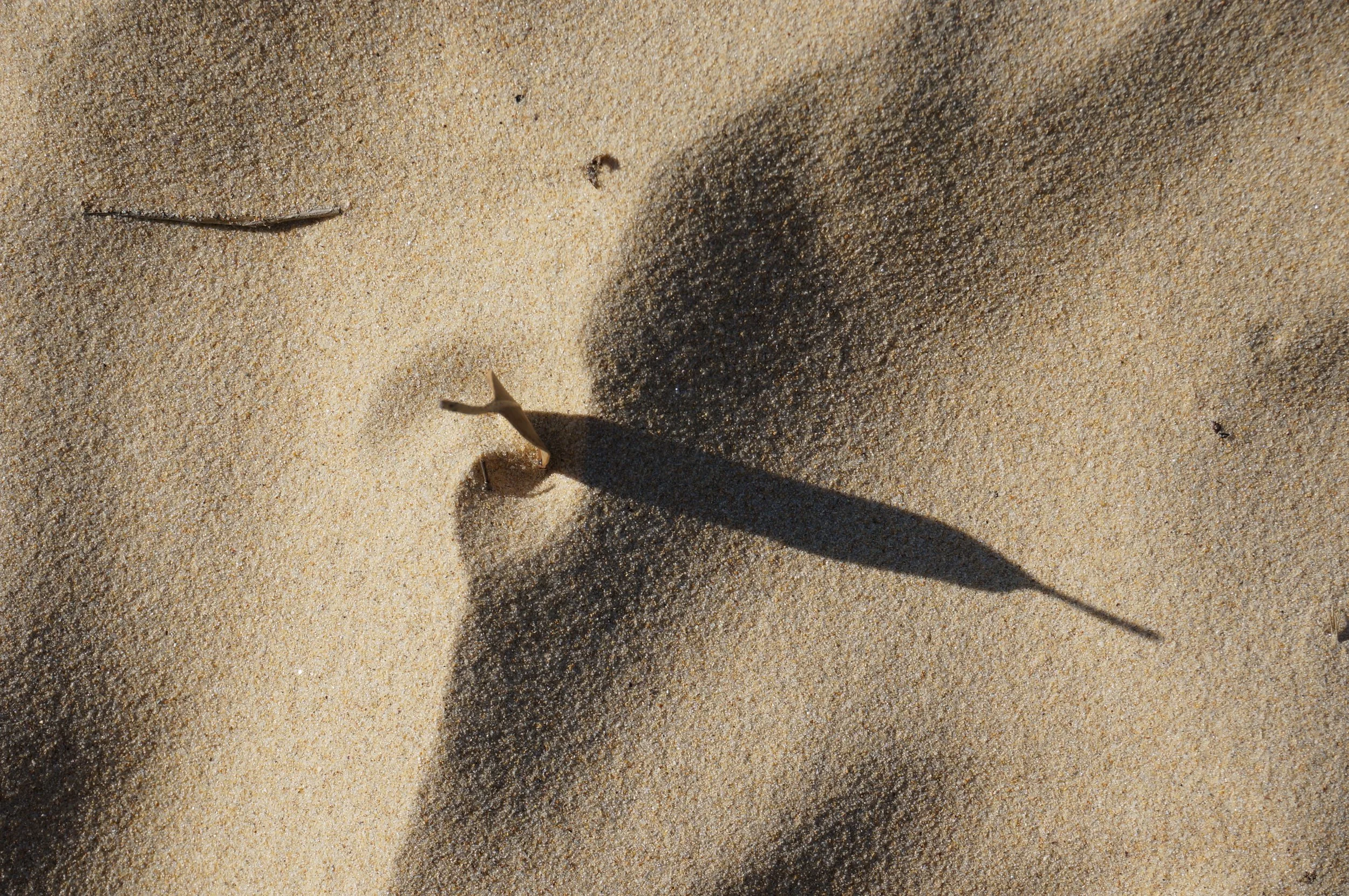 sand scene, mystery bay, new south wales, 2018