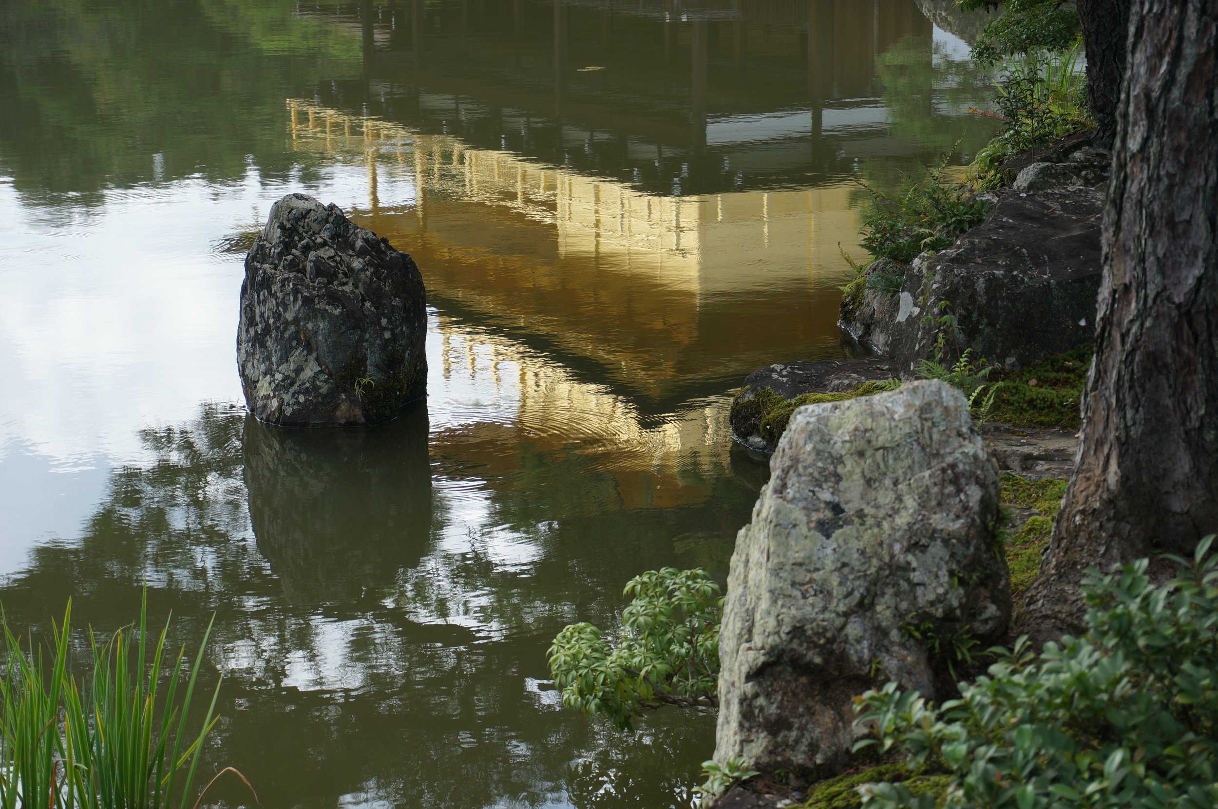 scene, kyoto, japan, 2022