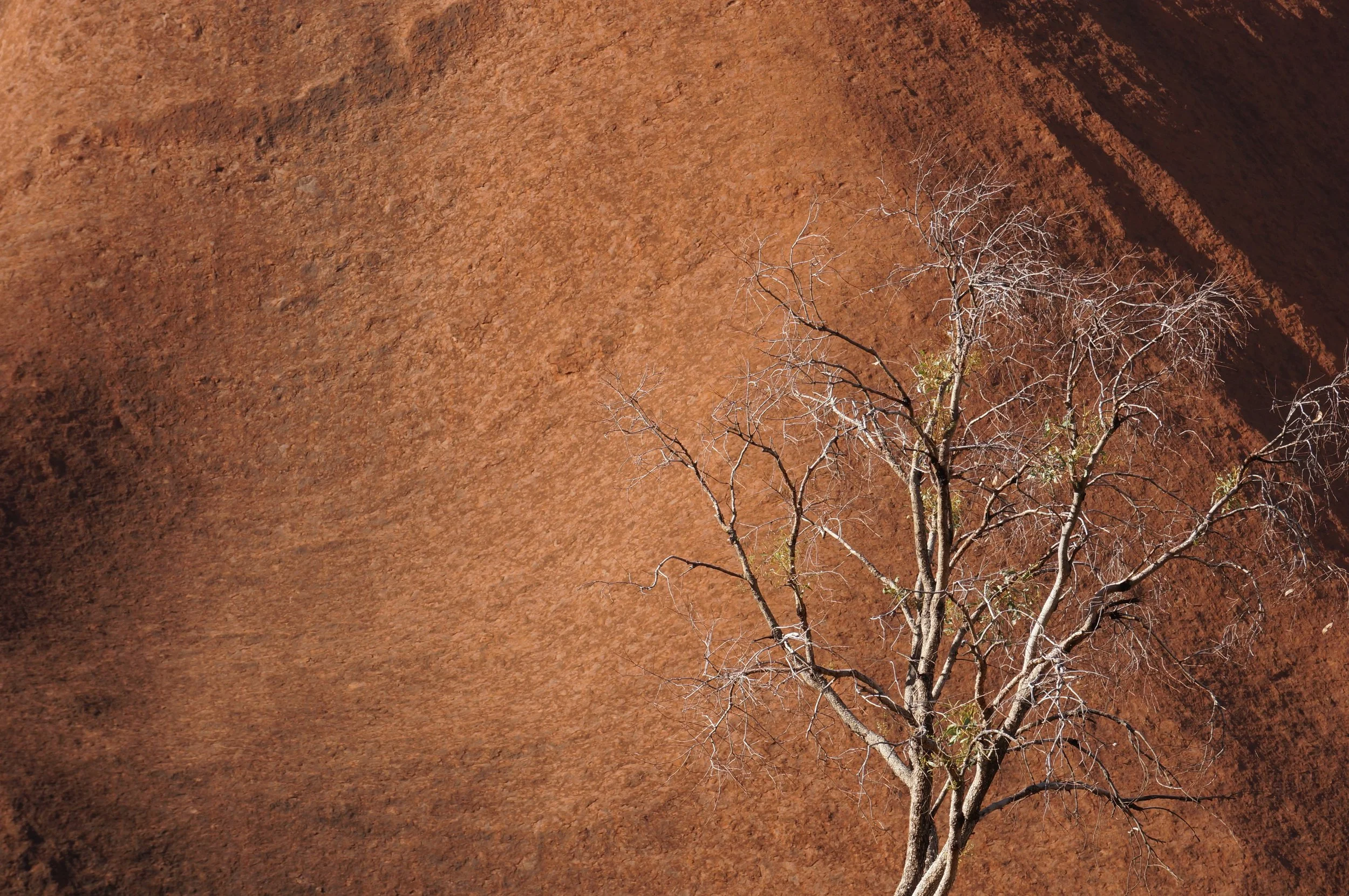 uluru, northern territory, 2021