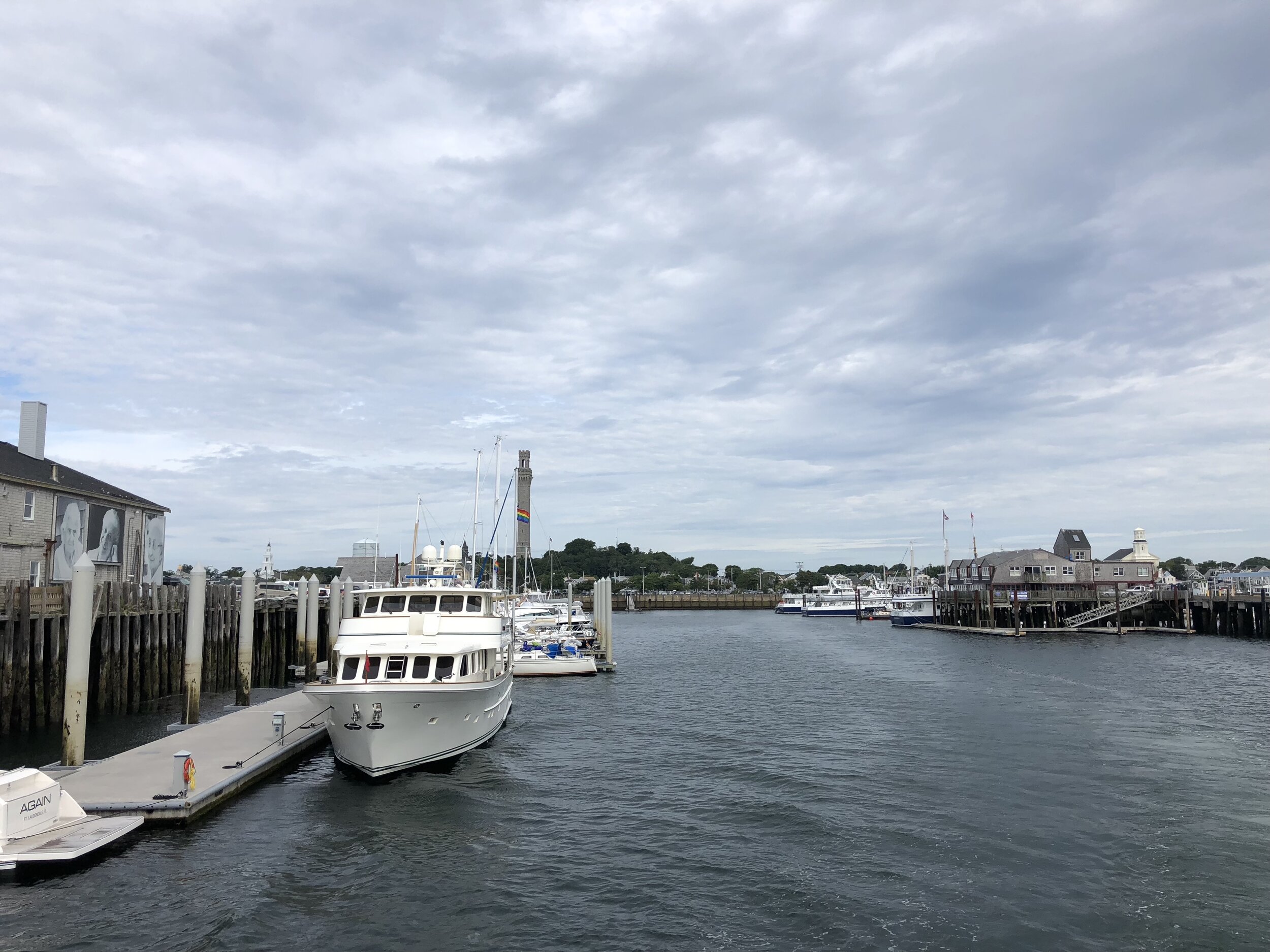 IMG_6042 copy.jpg