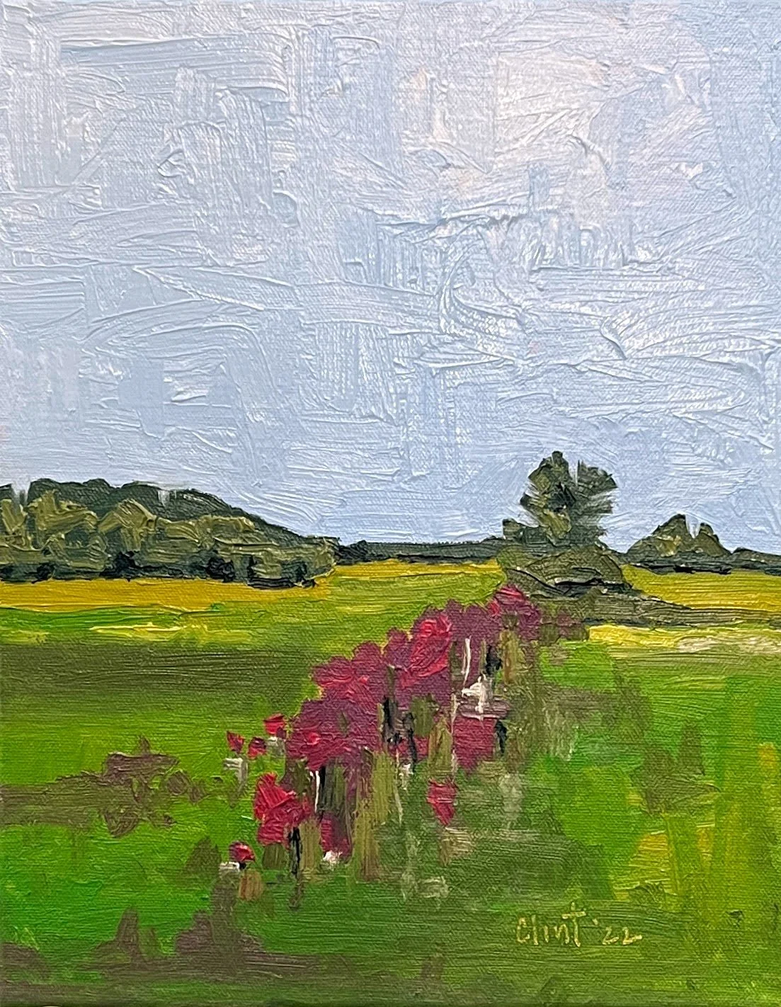 Lake Champlain Phlox (sold)