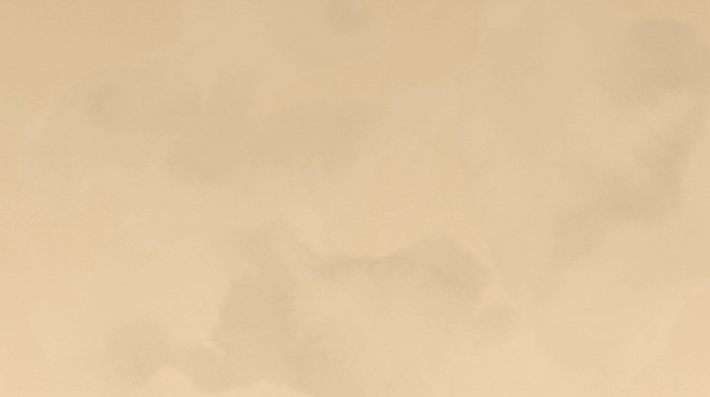 background 1.png