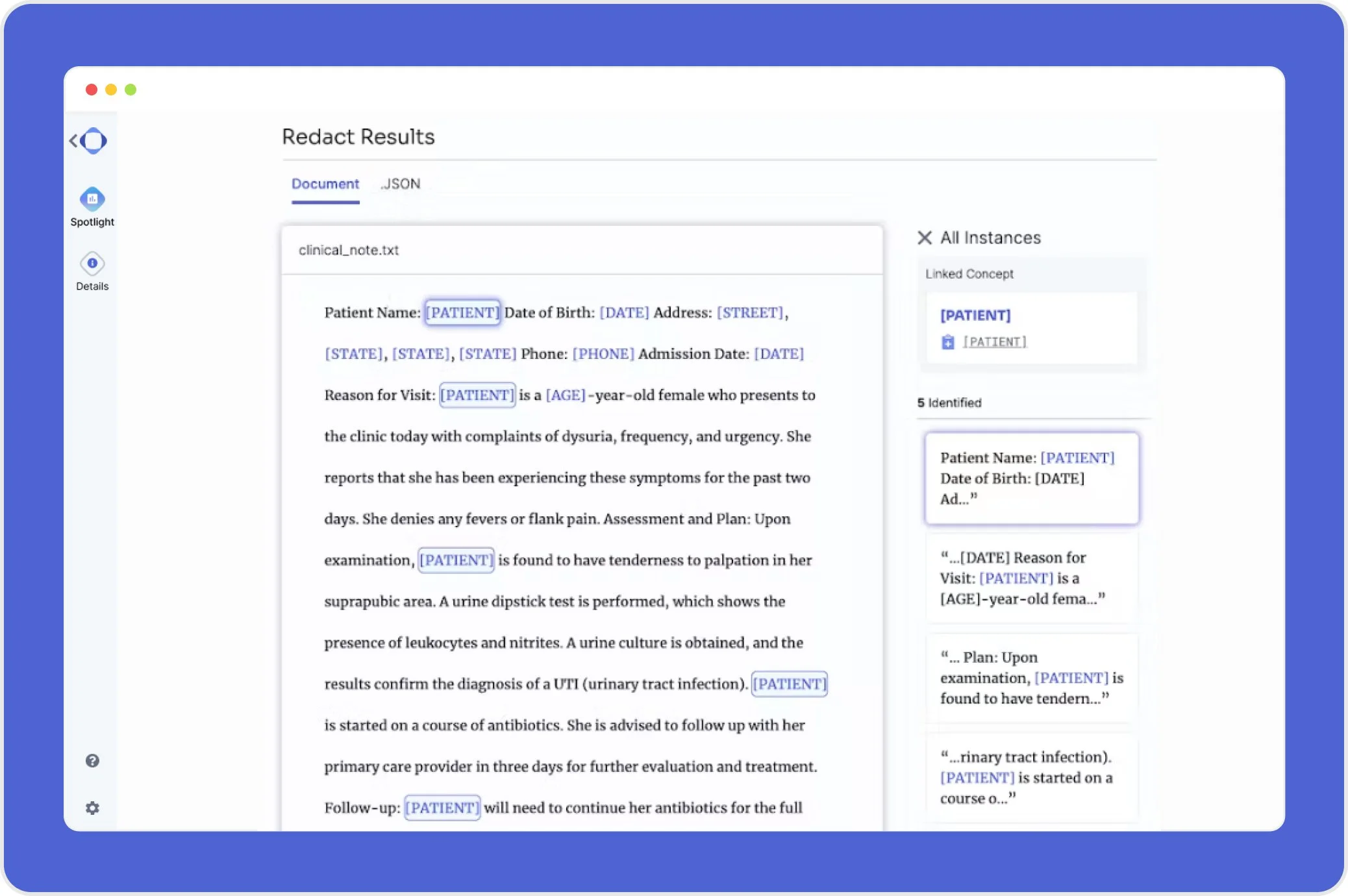 PHI Redeaction - Web App