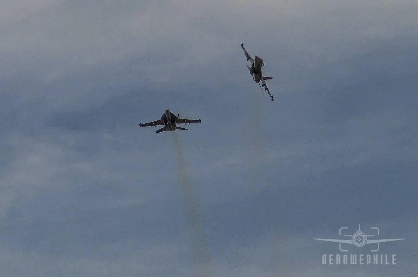 US Navy EA-18 Growler Demo Team (Naval Air Station Whidbey Island, WA).