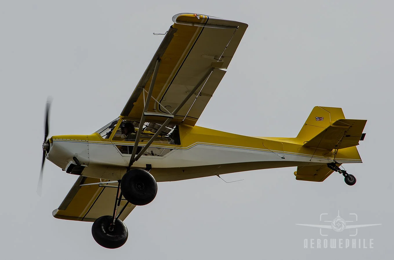 DSC_0767Z.jpg