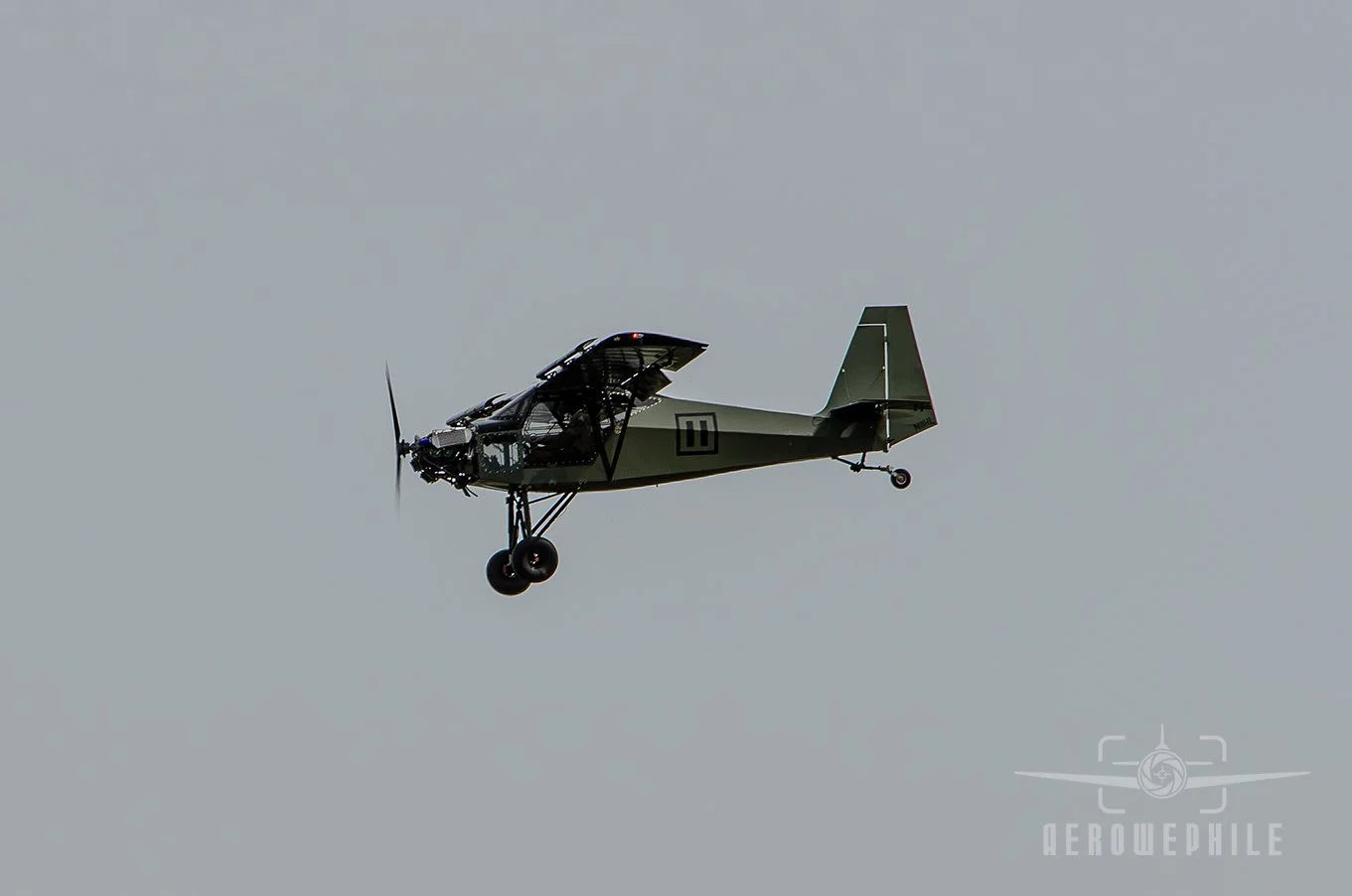 DSC_0803Z.jpg