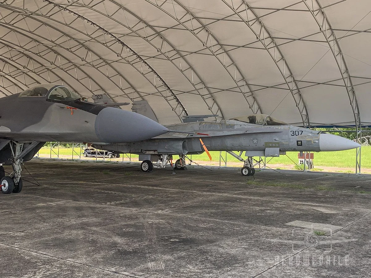 MIG-29 and F/A-18 Hornet