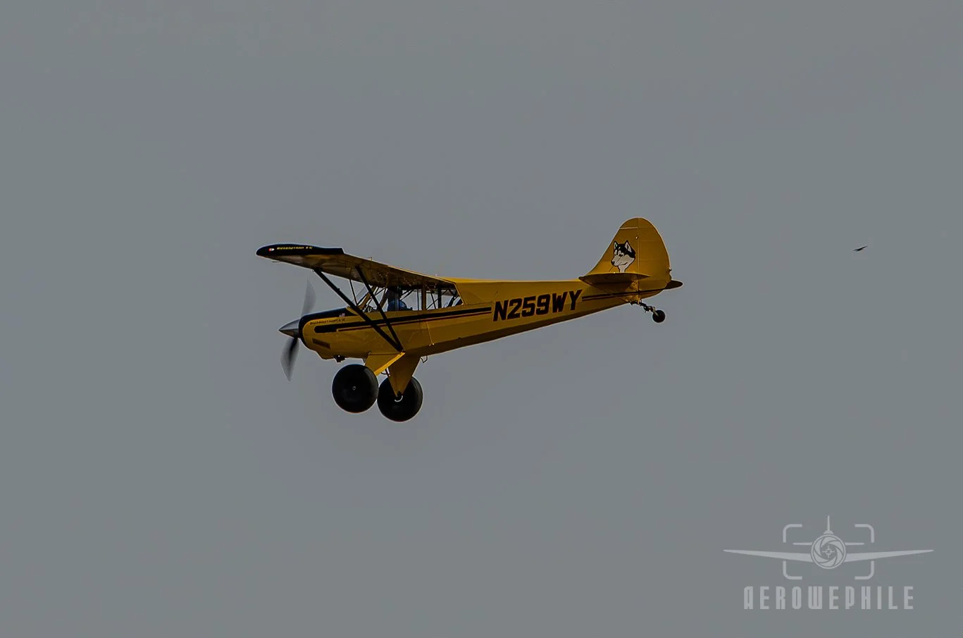 DSC_0689Z.jpg