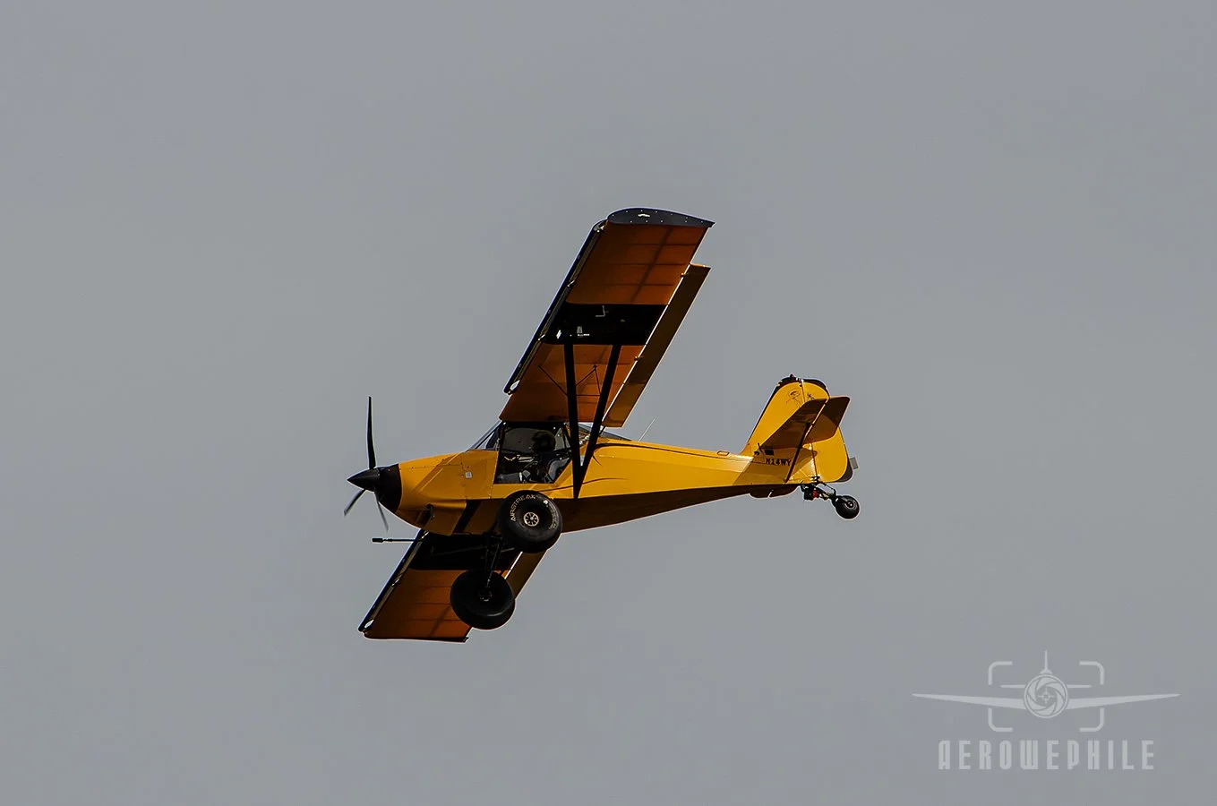 DSC_0192Z.jpg