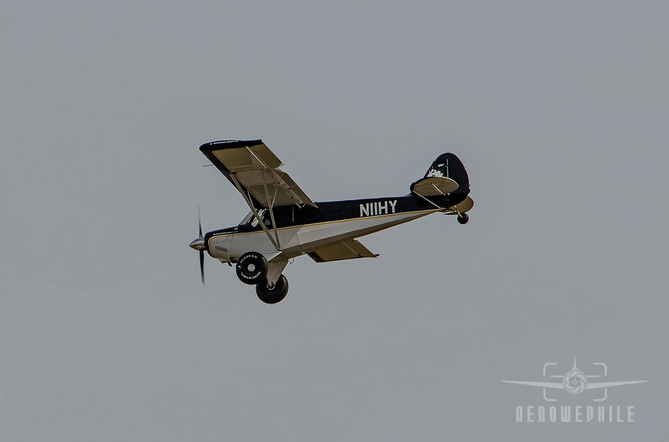 DSC_0412Z.jpg