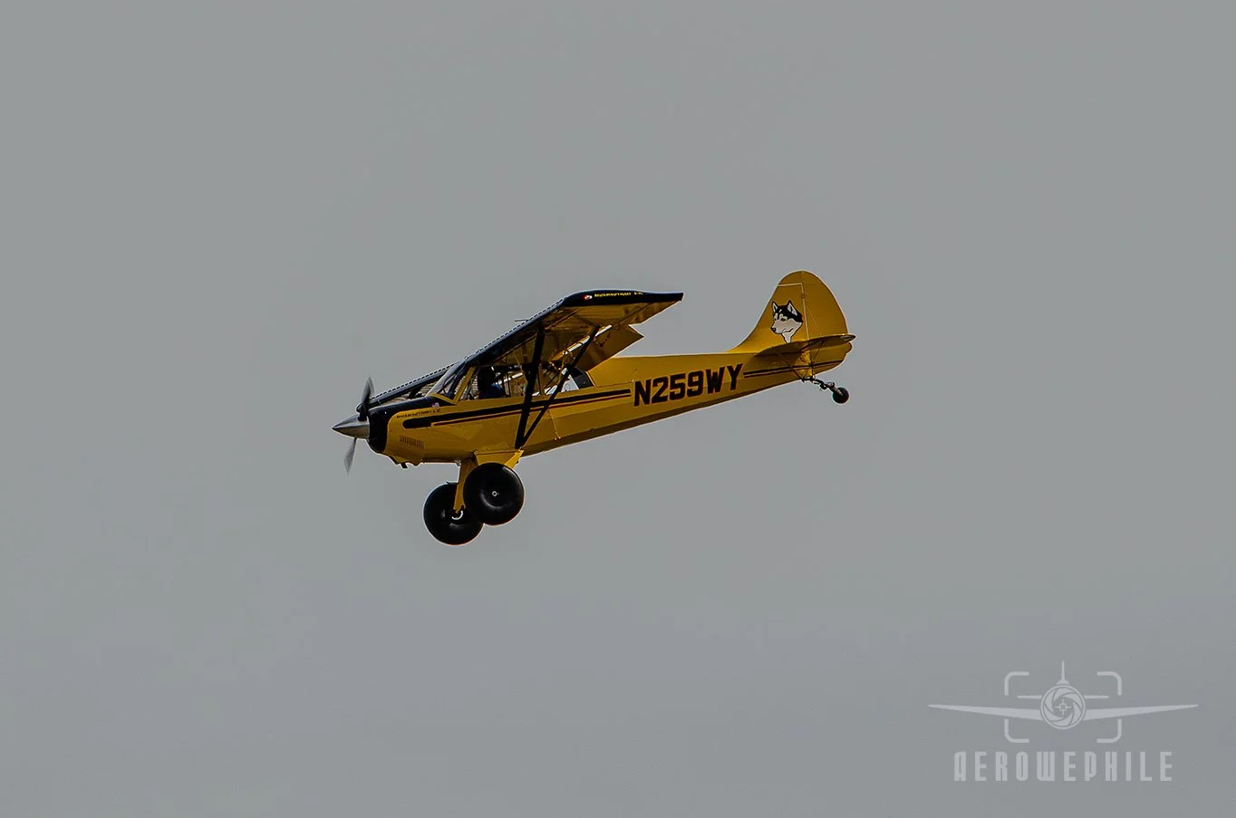 DSC_0369Z.jpg