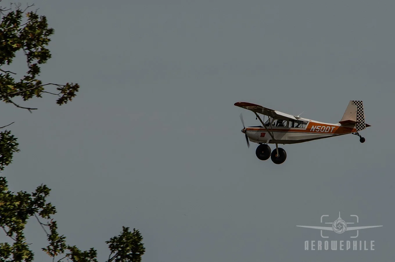 DSC_0567Z.jpg