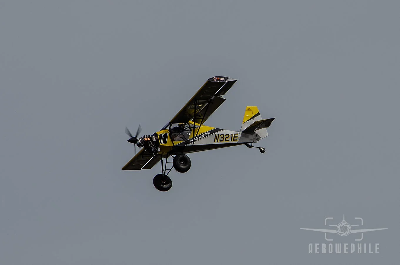 DSC_0719Z.jpg