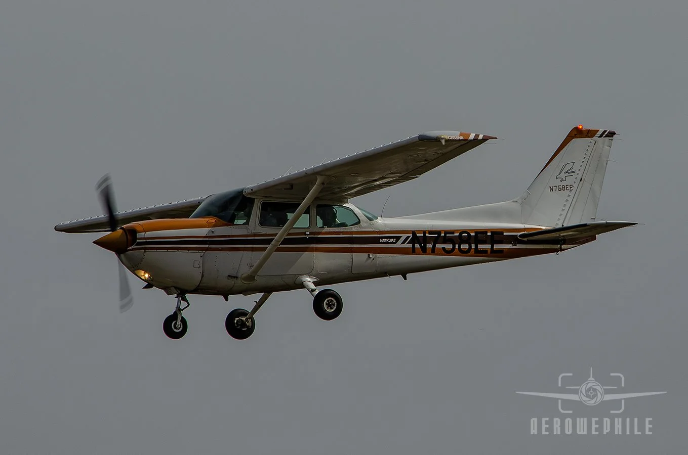 DSC_0092Z.jpg